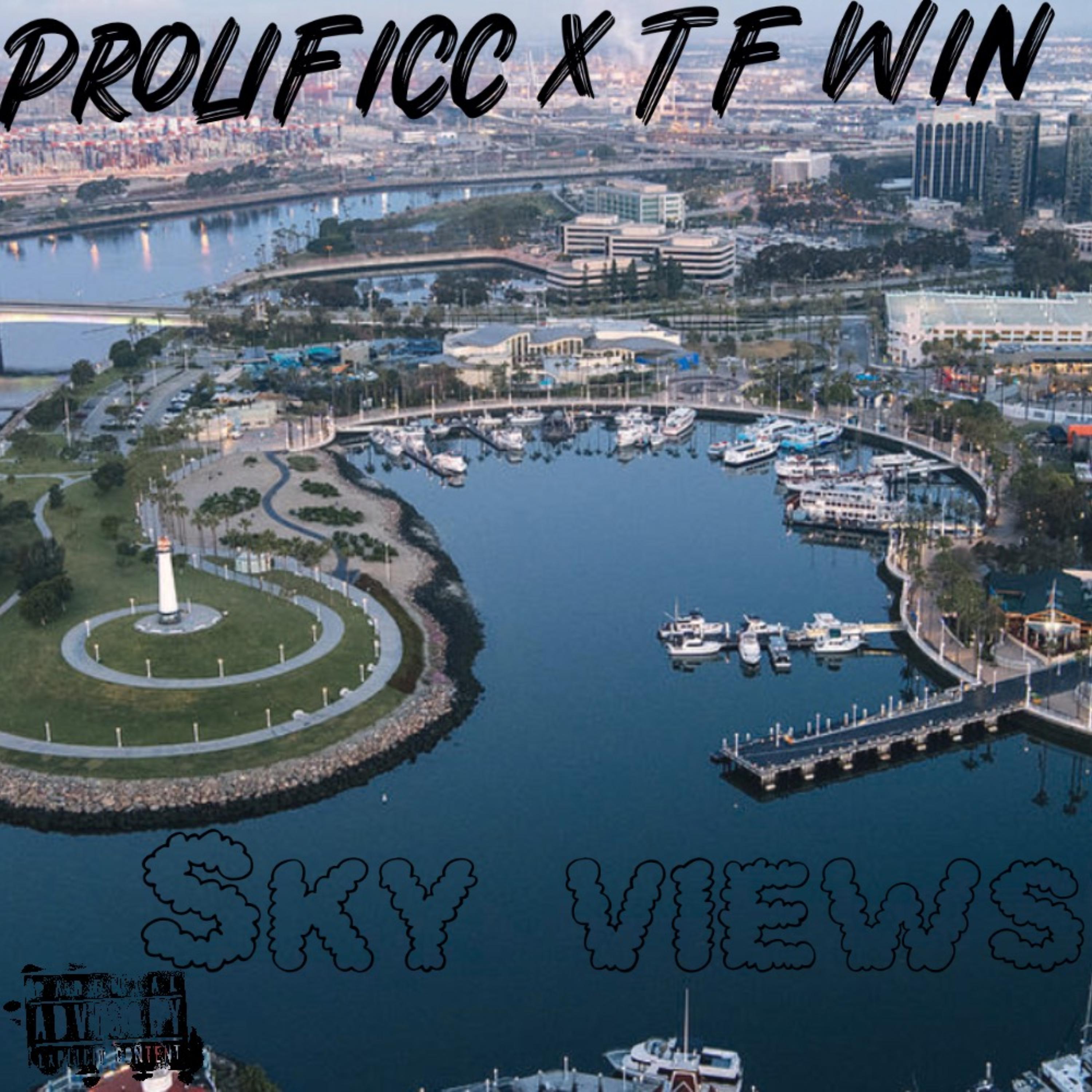 Sky Views artwork