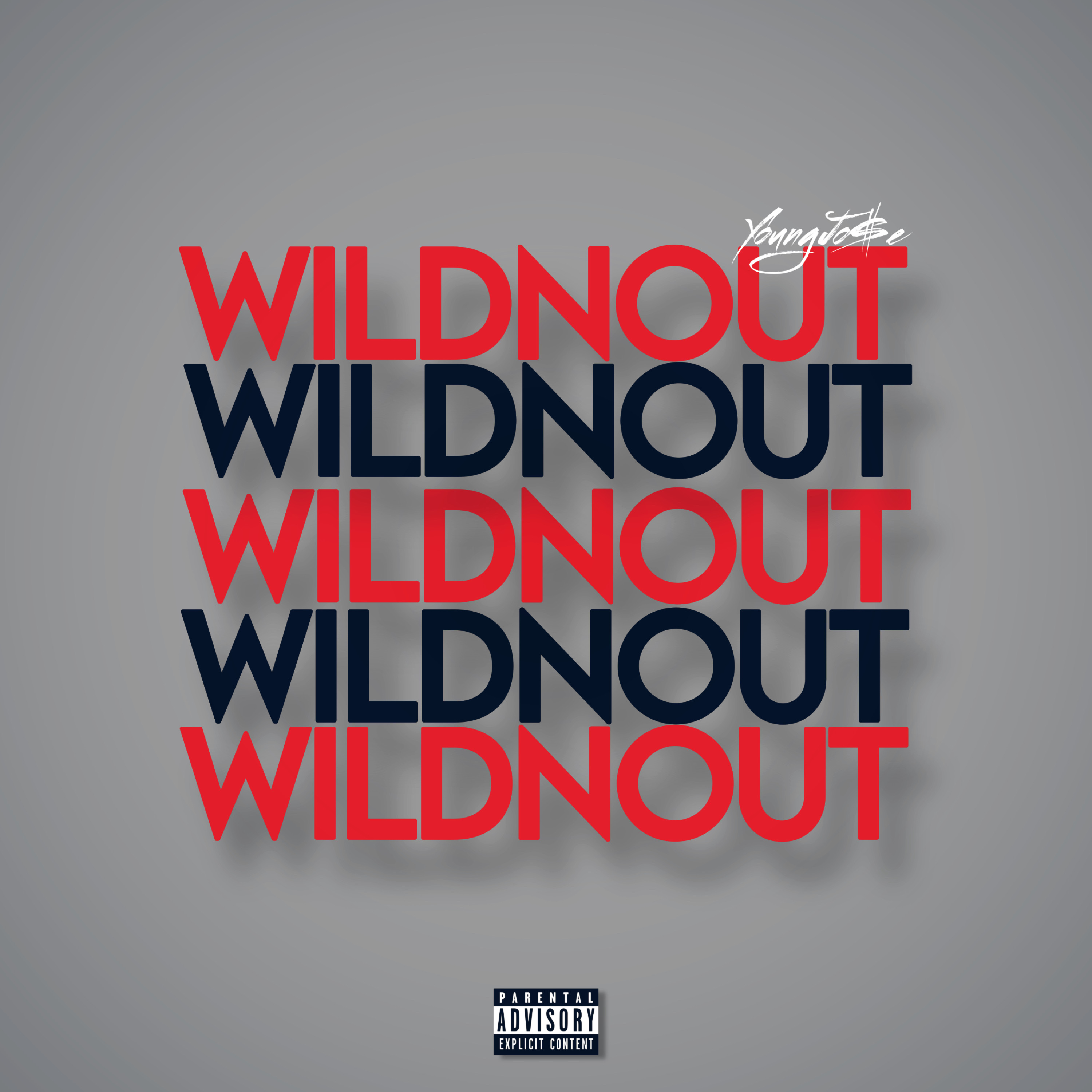 WILDNOUT artwork
