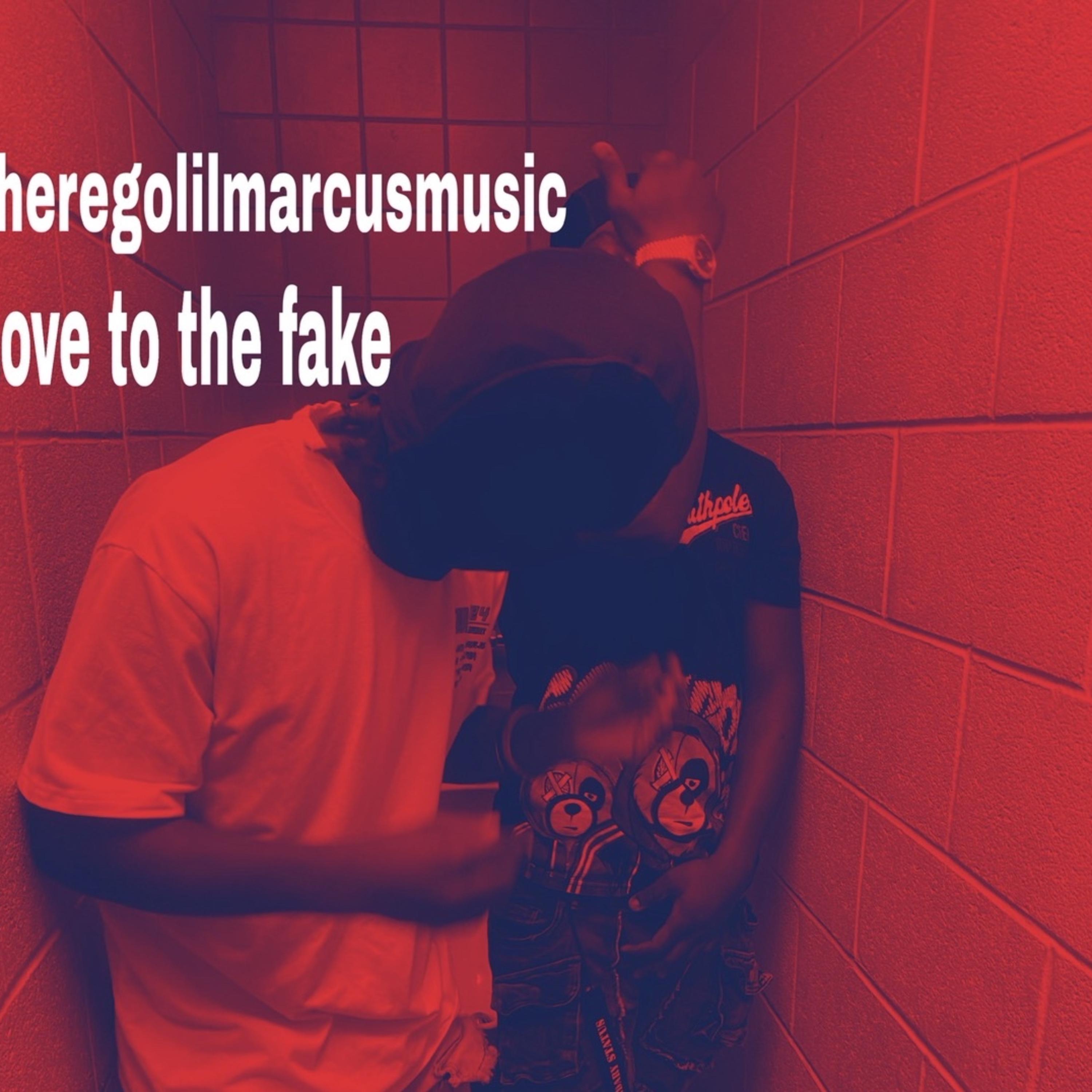Love To The Fake artwork