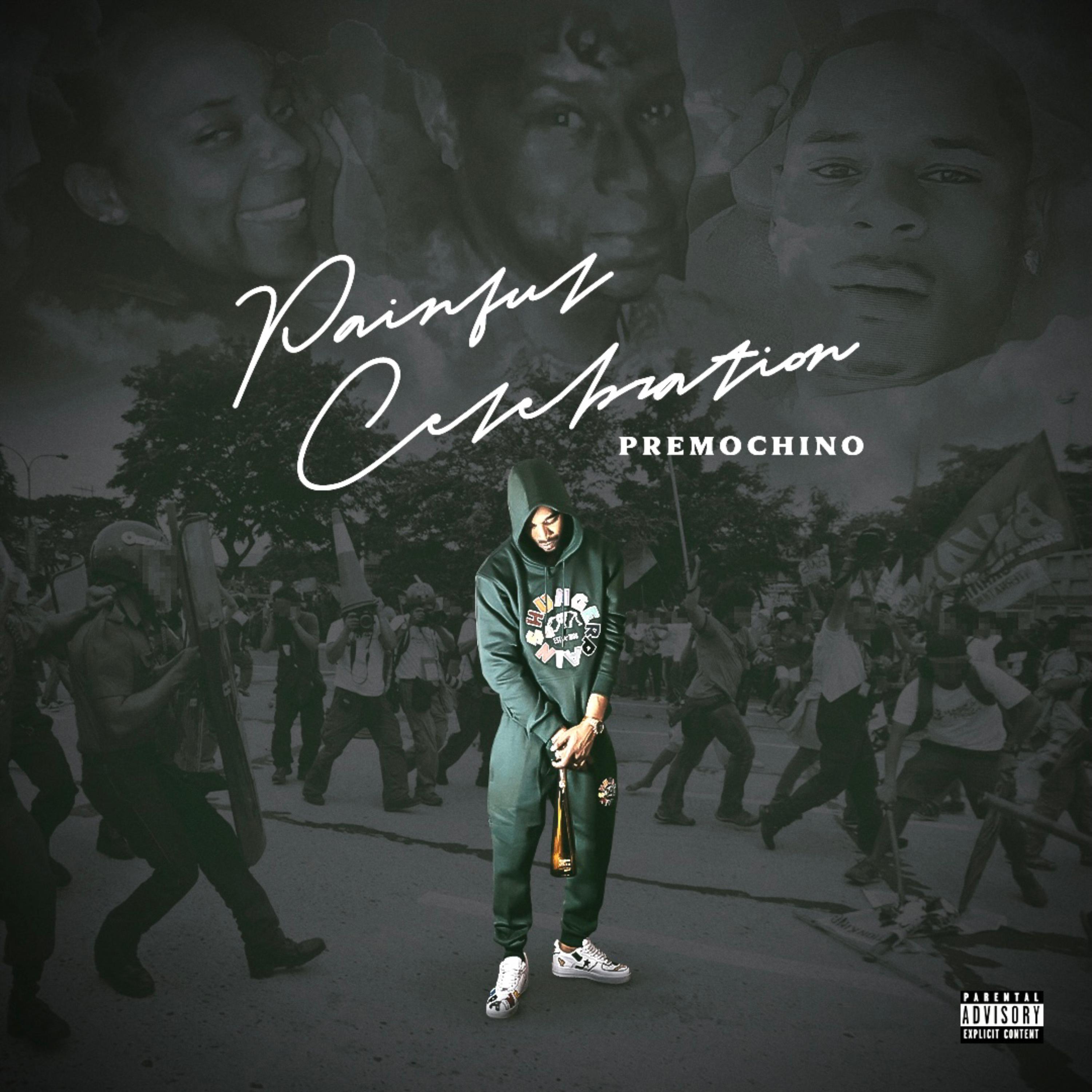 Painful Celebrations by PremoChino cover art