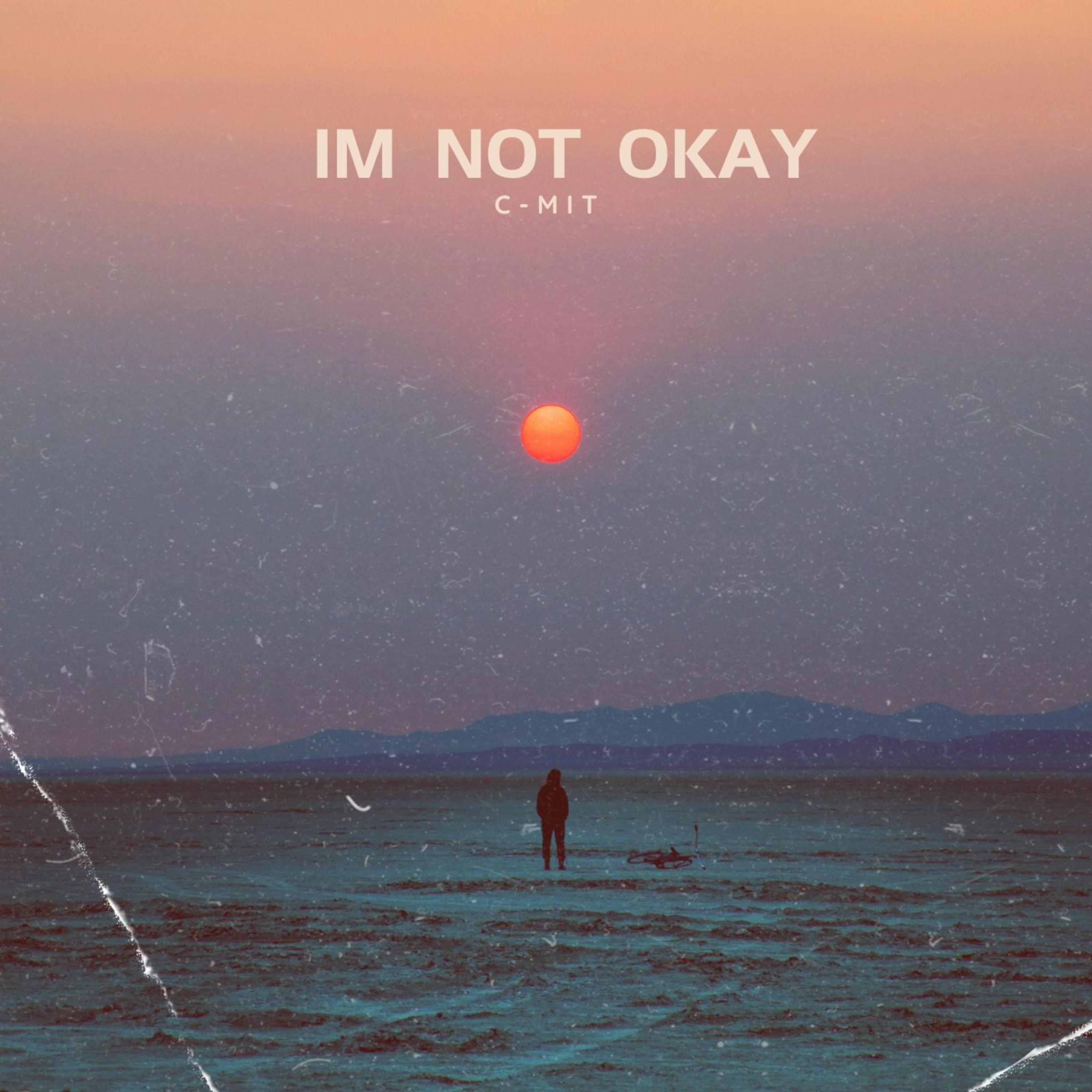 Im Not Okay artwork