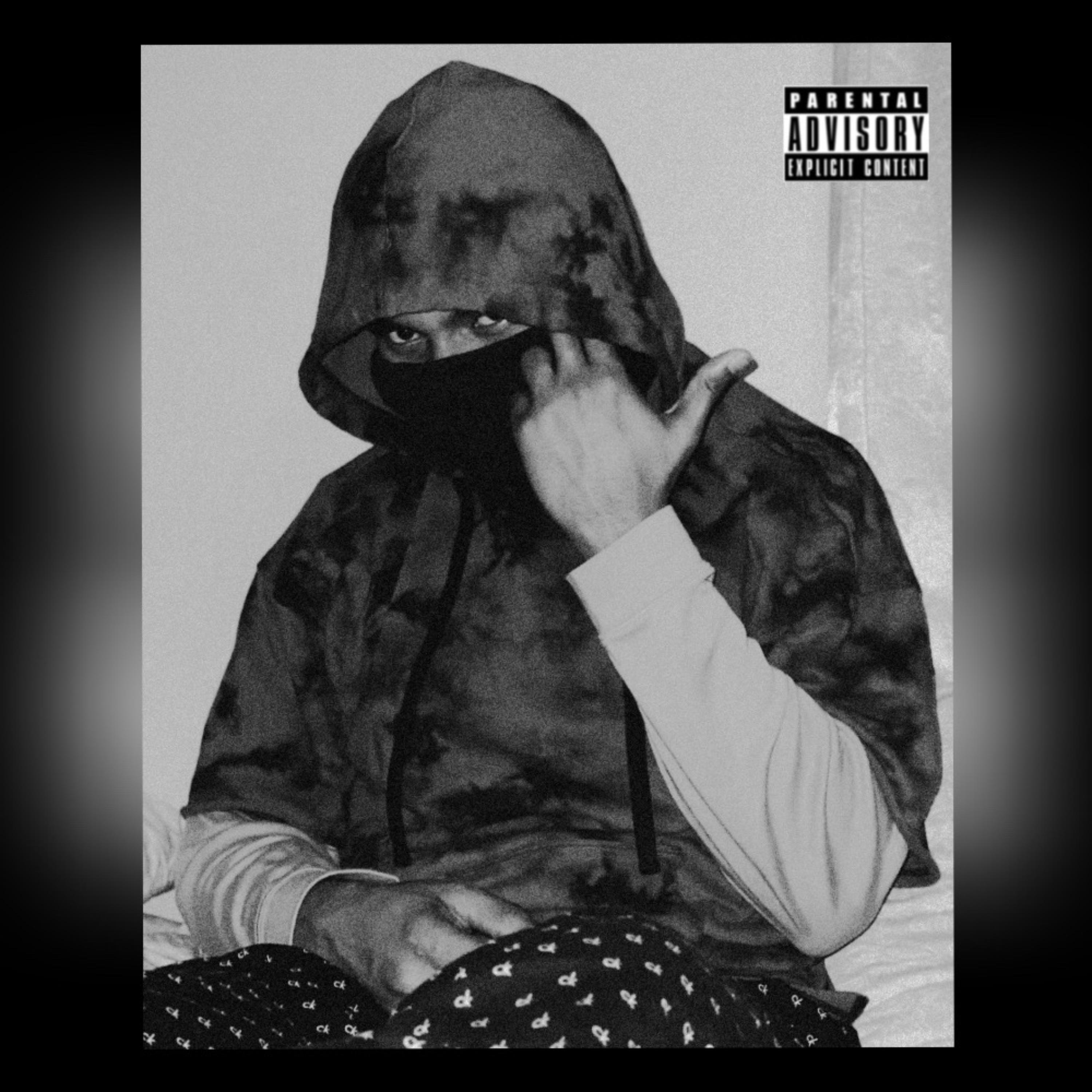 MI$A VOORHEES $ PT 2 artwork