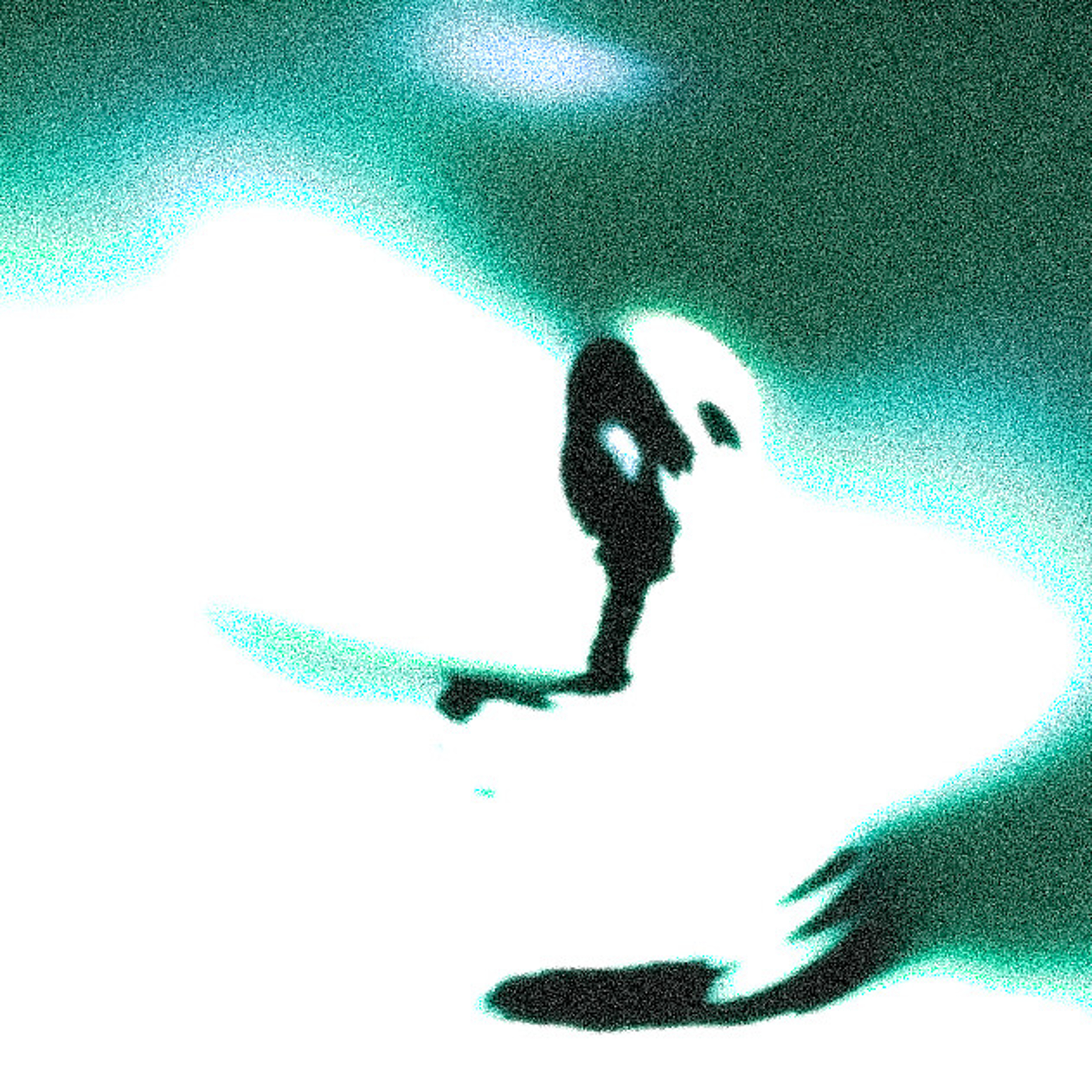 [N]ew [S]anctuary artwork