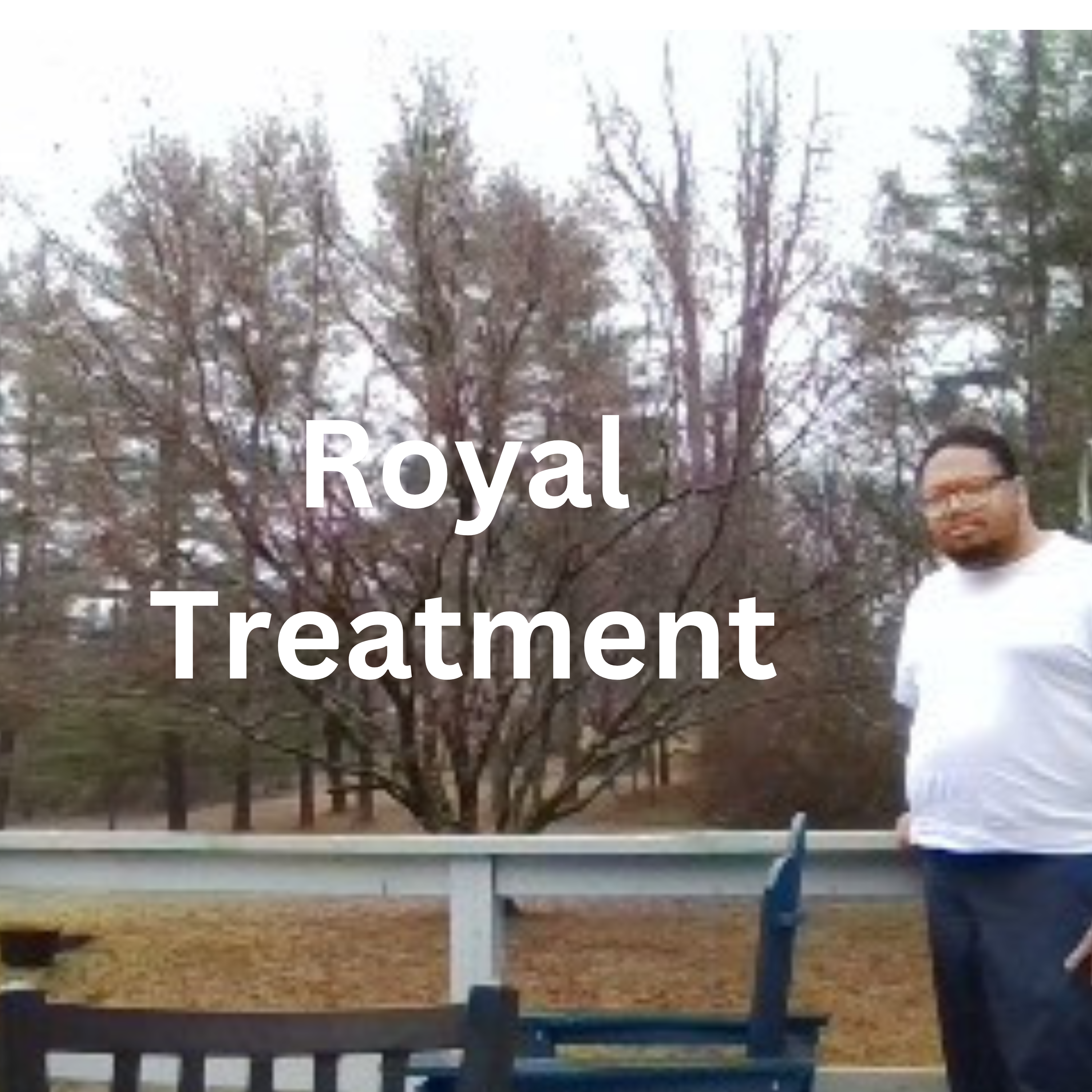 Royal Treatment by Javon St. John cover art