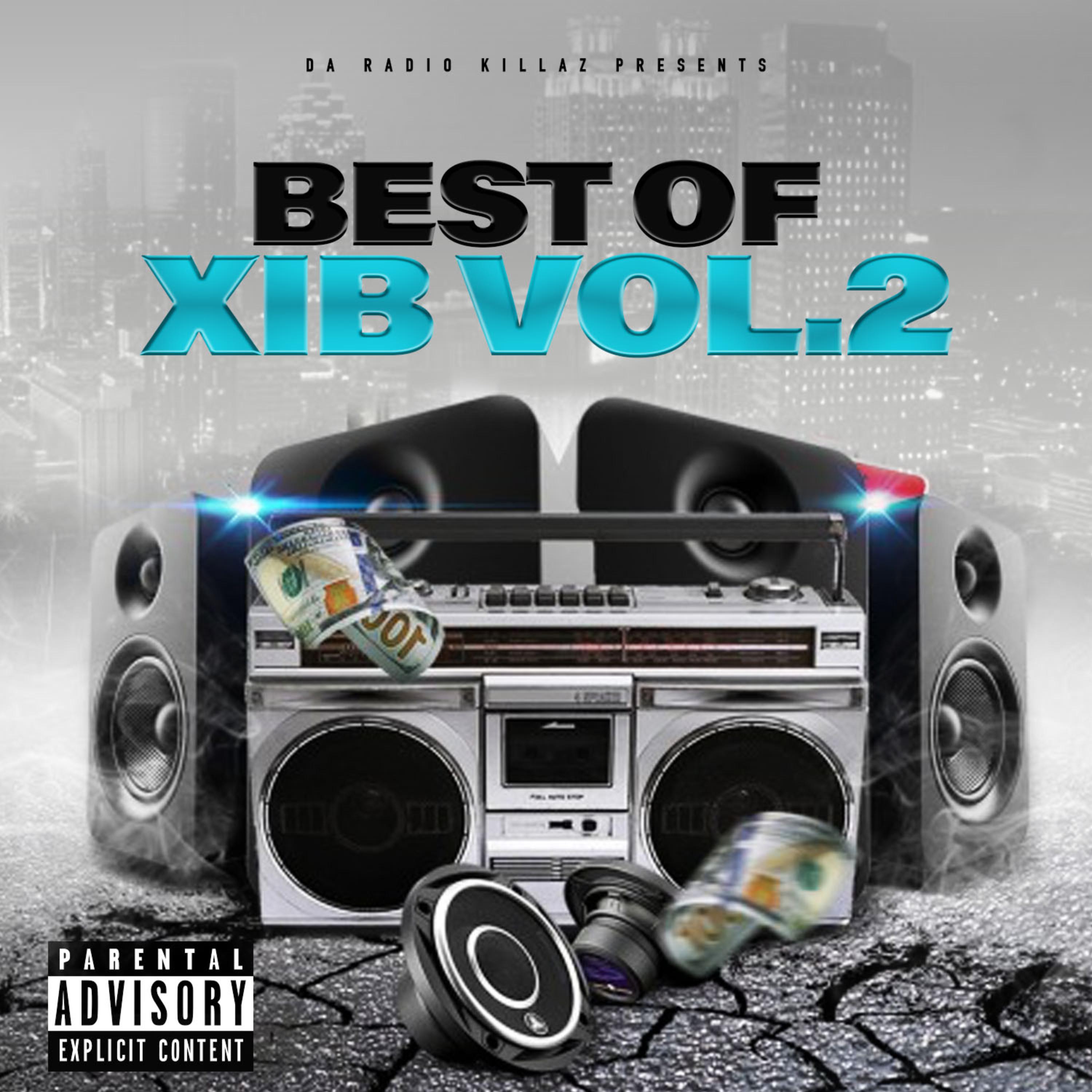 The Best Of XIB, Vol.2 artwork
