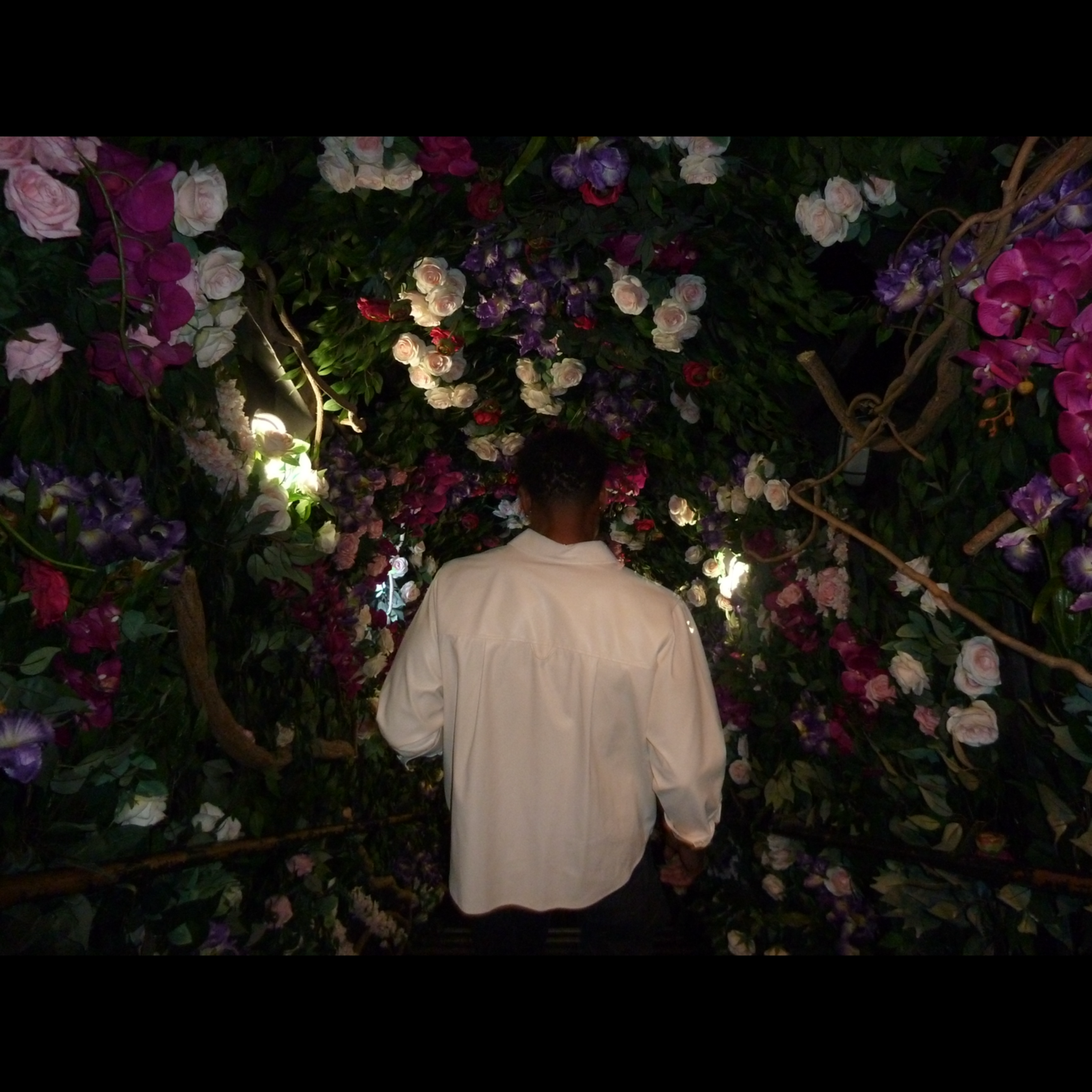 Wait For My Love 2 artwork