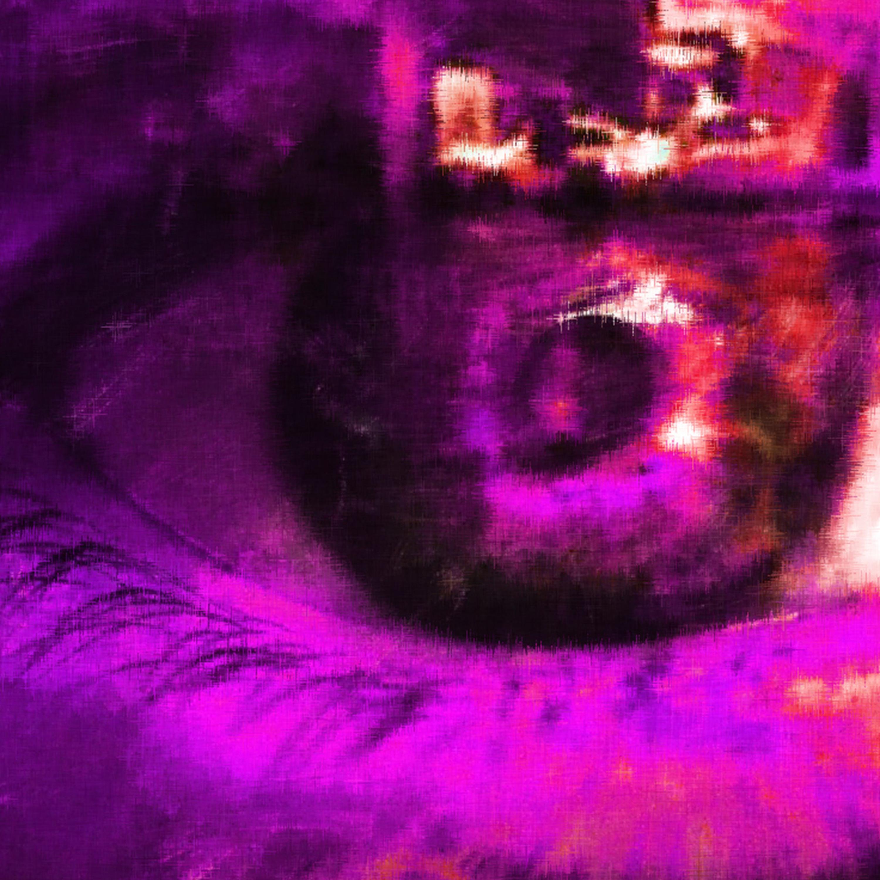 Raise Hell!! artwork