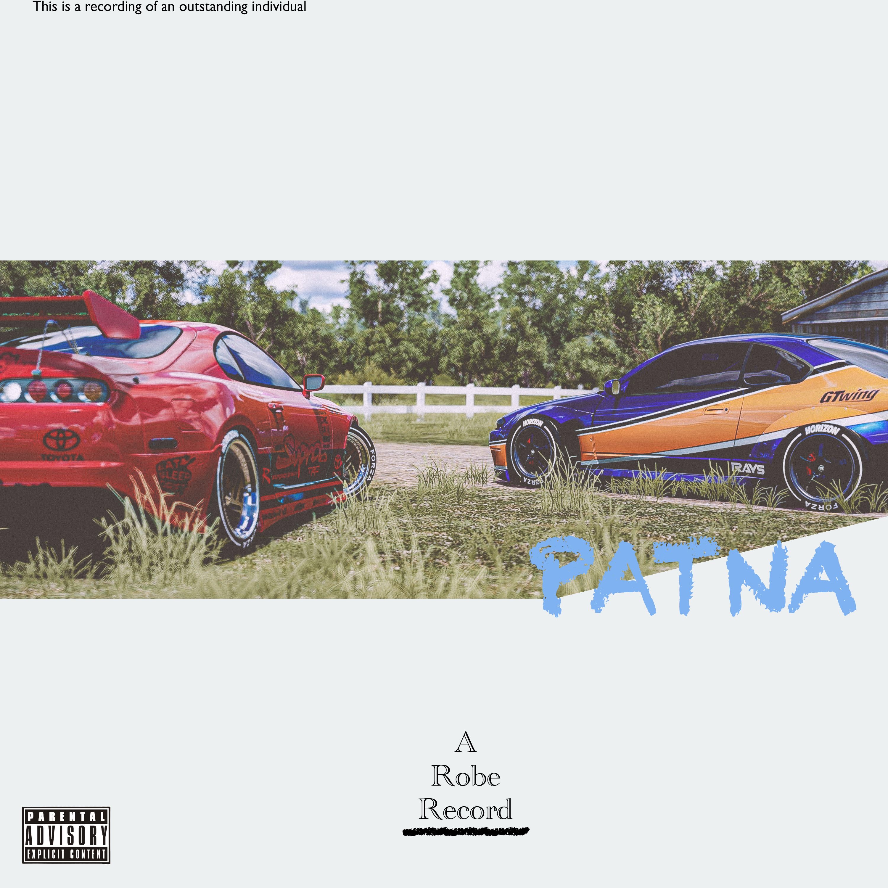 PATNA artwork