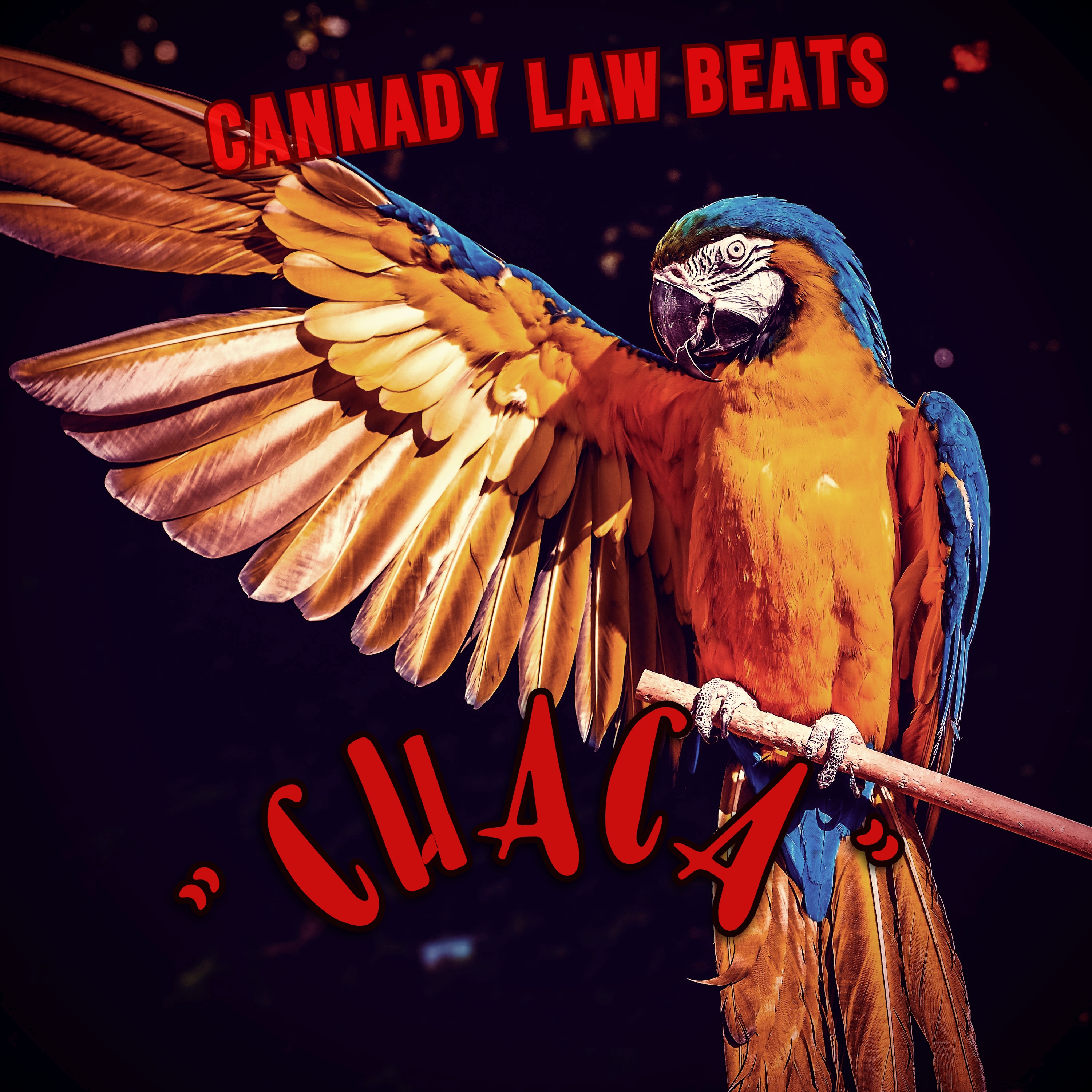 CHACA by Cannady Law Beats cover art