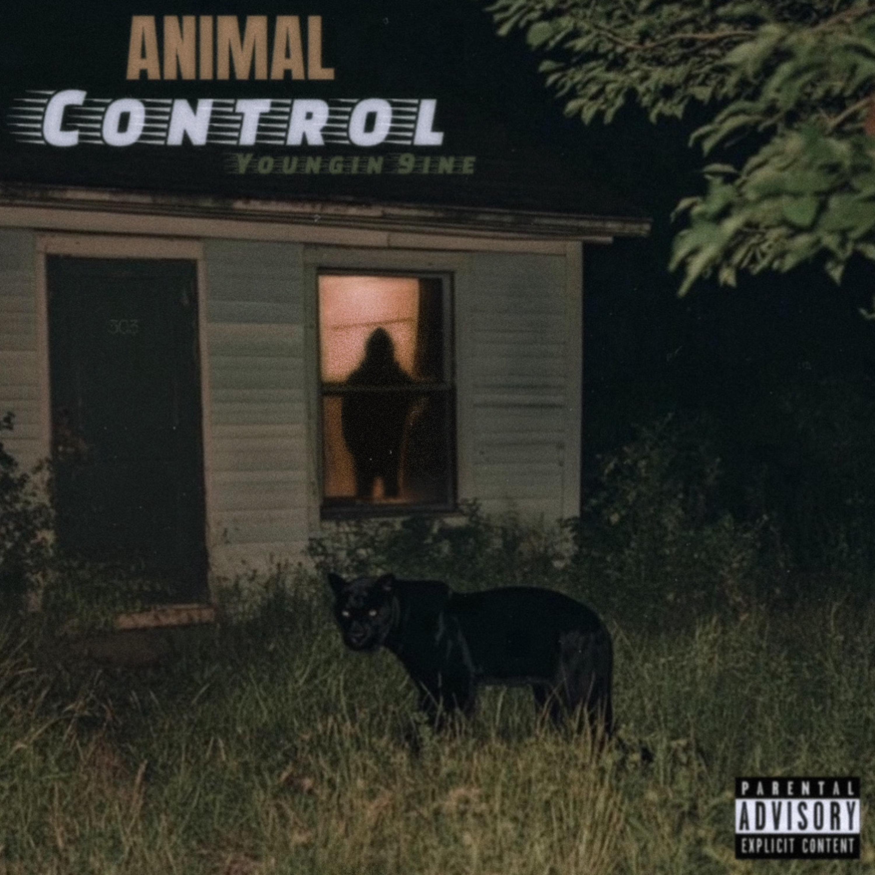 Animal Control artwork