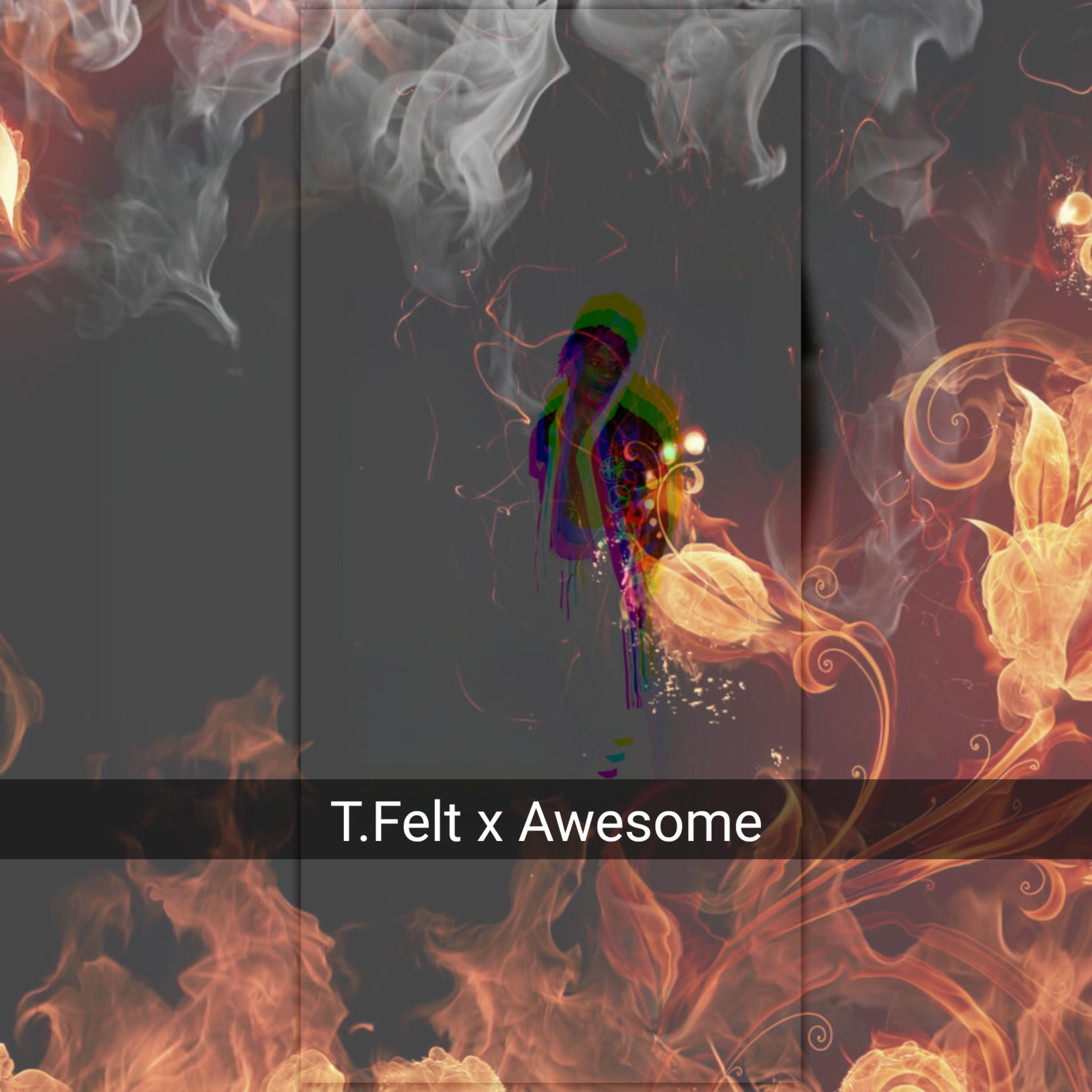 Awesome  by T.Felt cover art