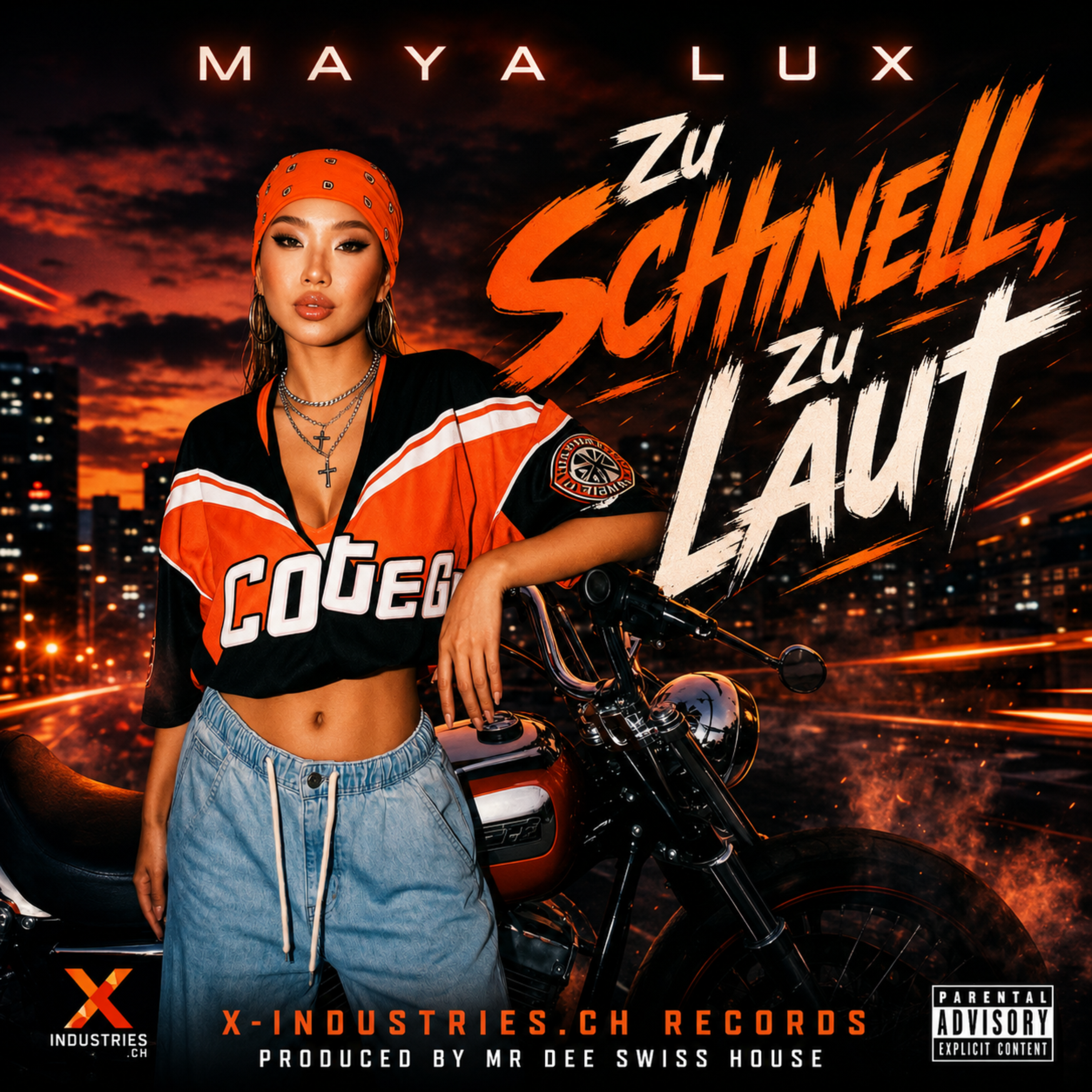 Zu Schnell Zu Laut by Mr Dee Swiss House cover art
