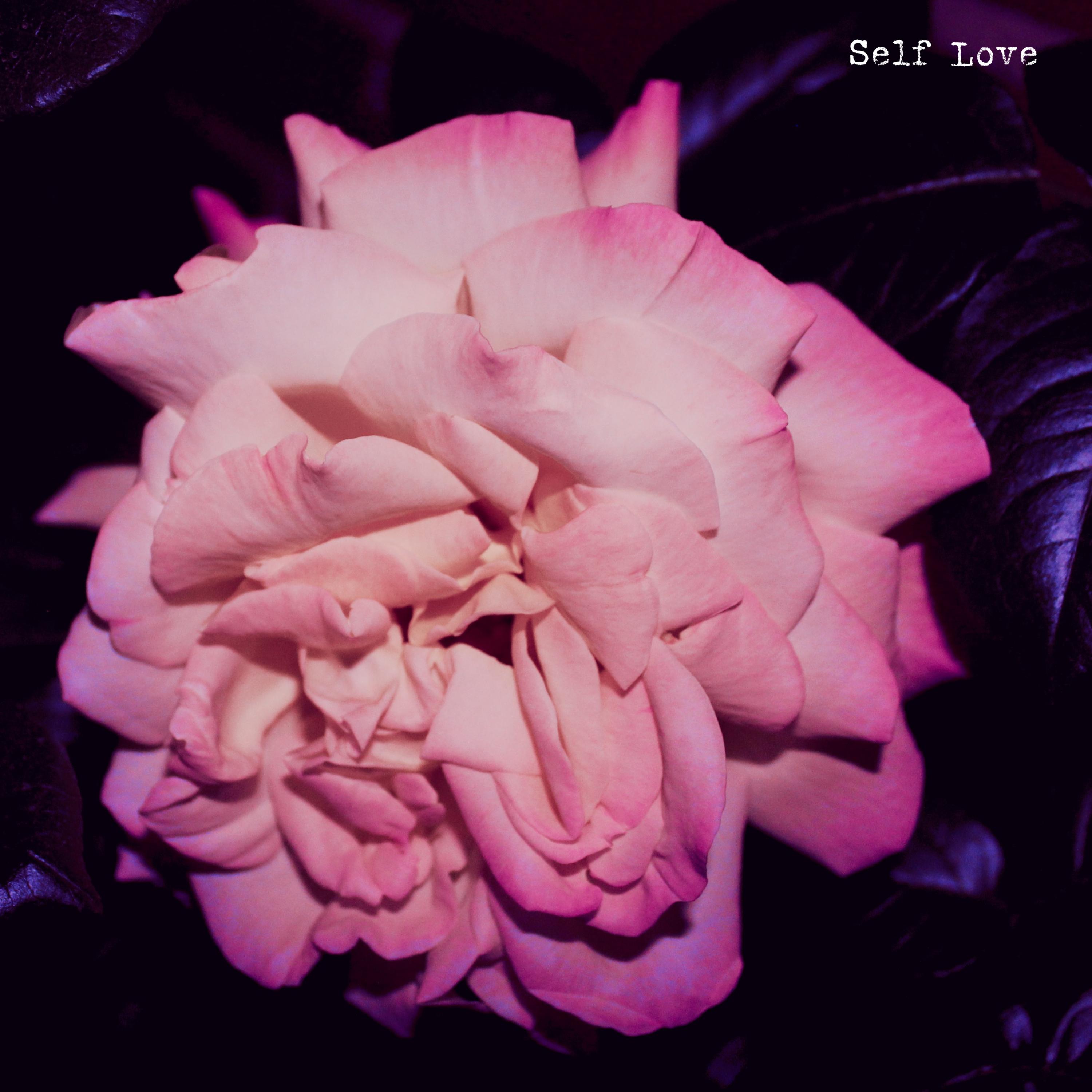 Self Love artwork