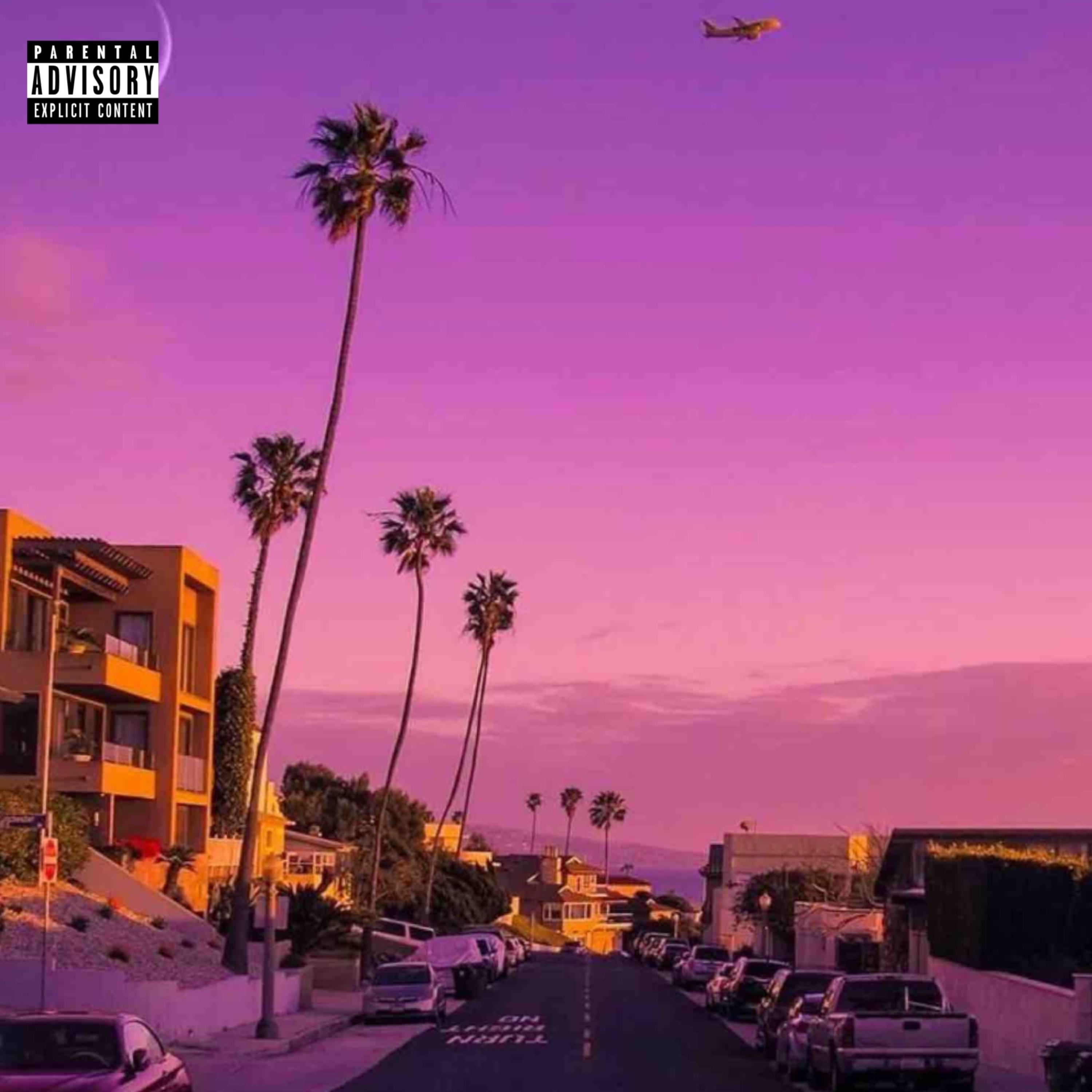 I Will Never Stop artwork