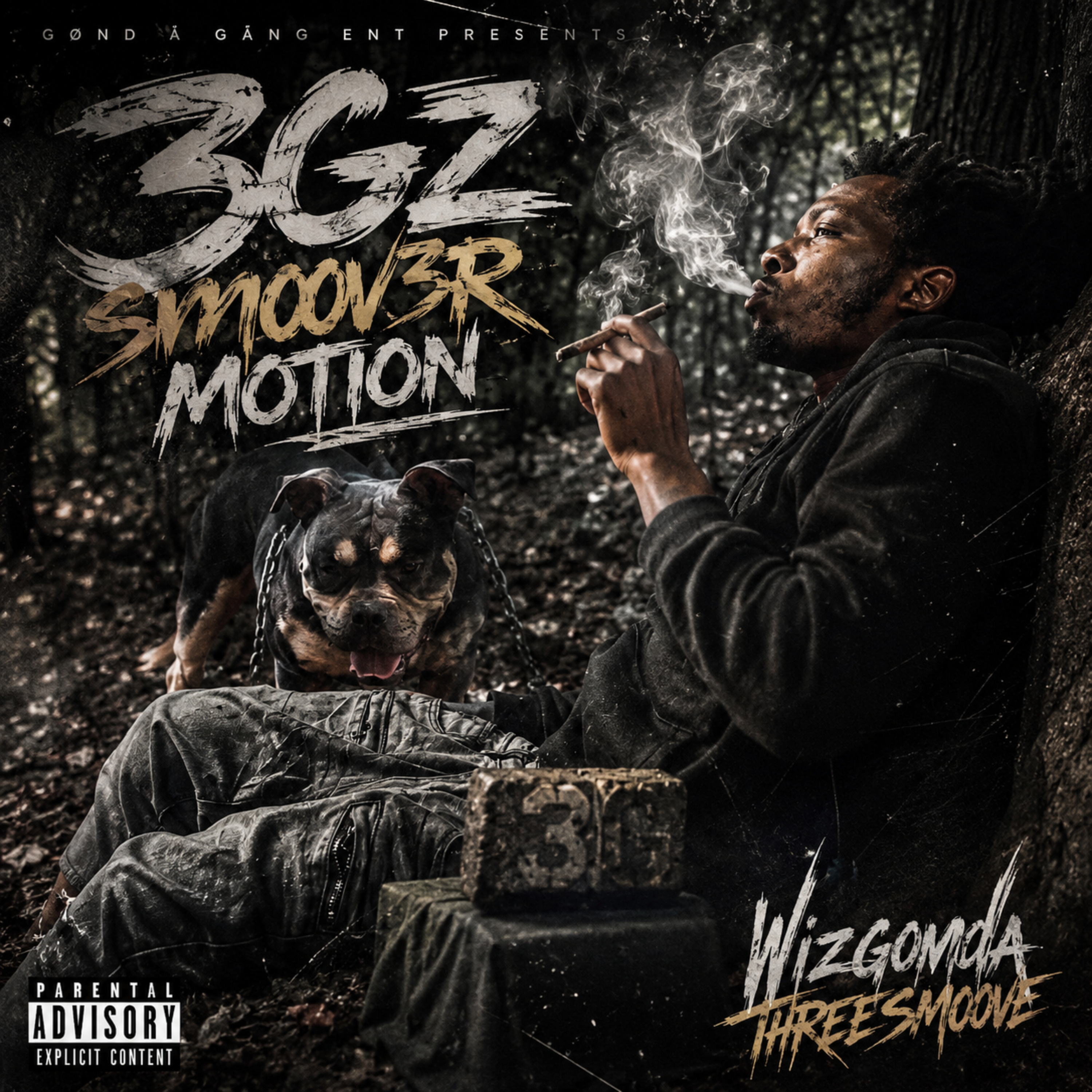 3Gz Smoov3R Motion by Wizgonda Threesmoove cover art