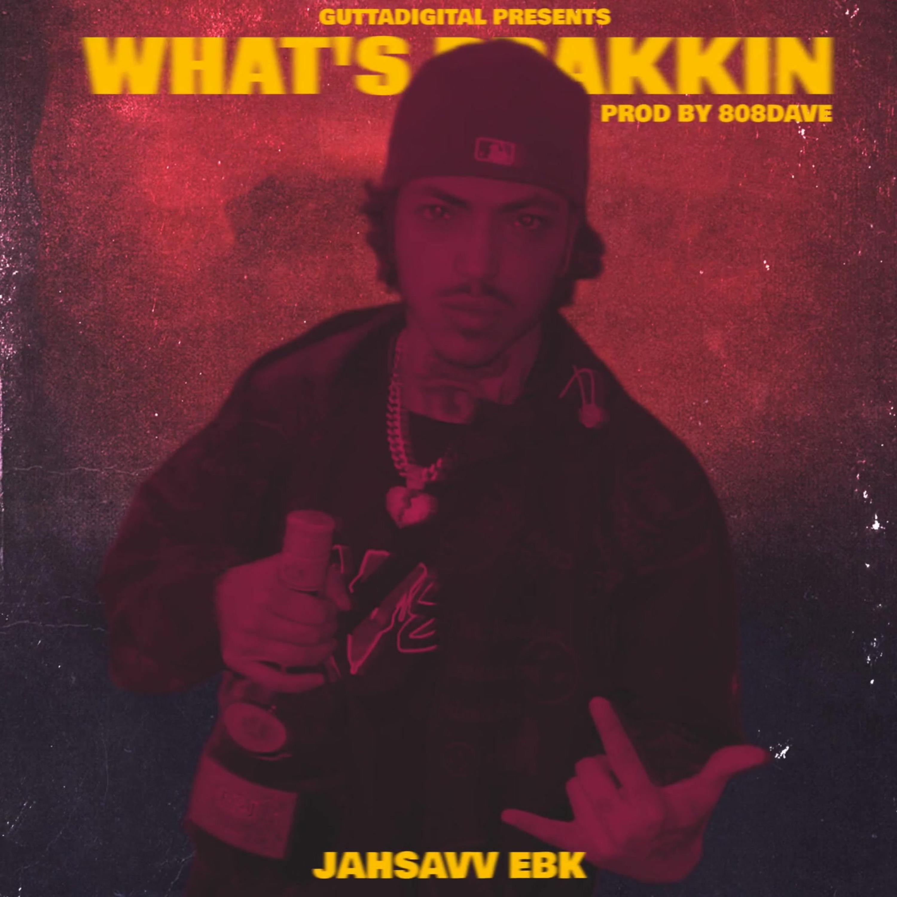 WHAT'S BRAKKIN artwork