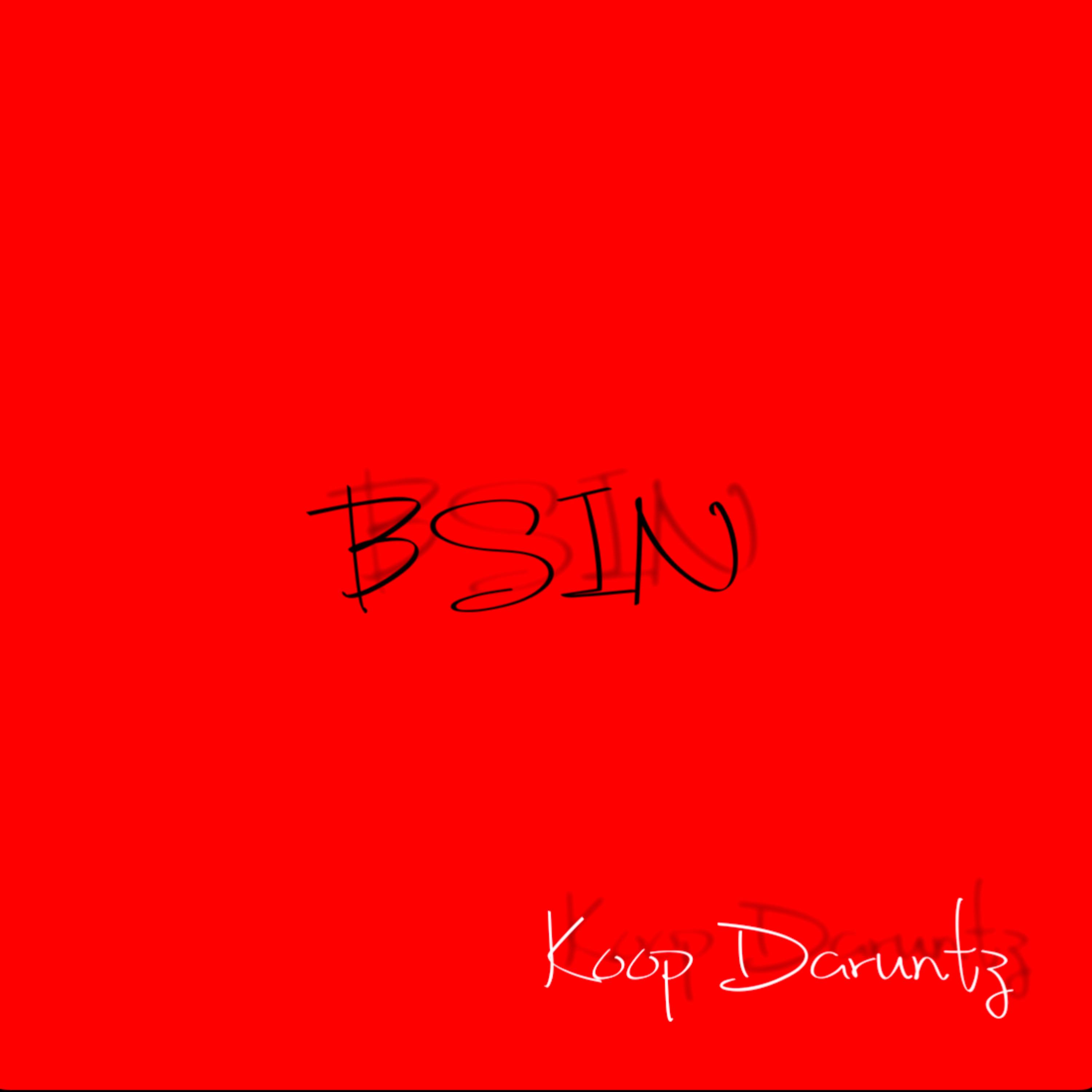 BSIN artwork