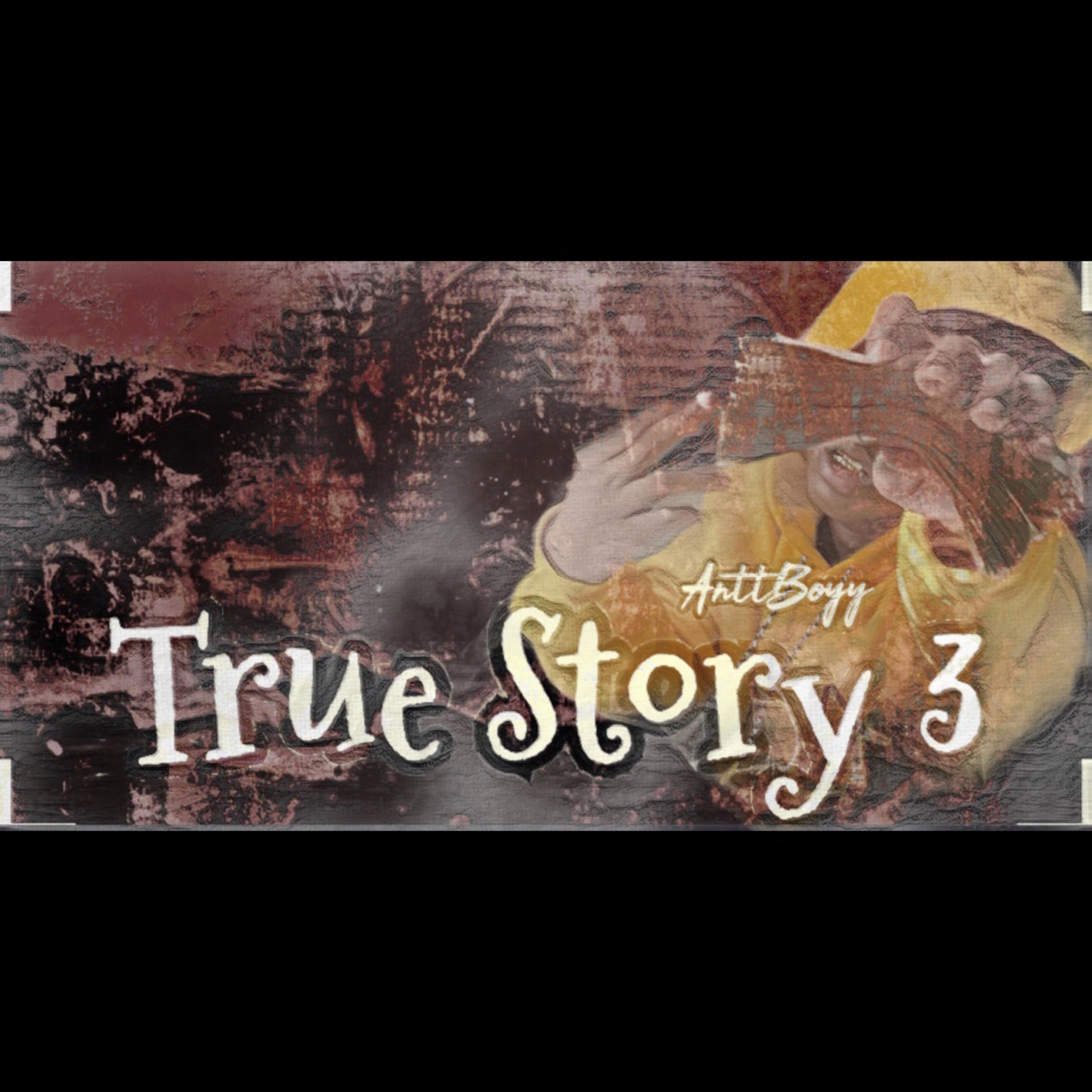 True Story 3 artwork