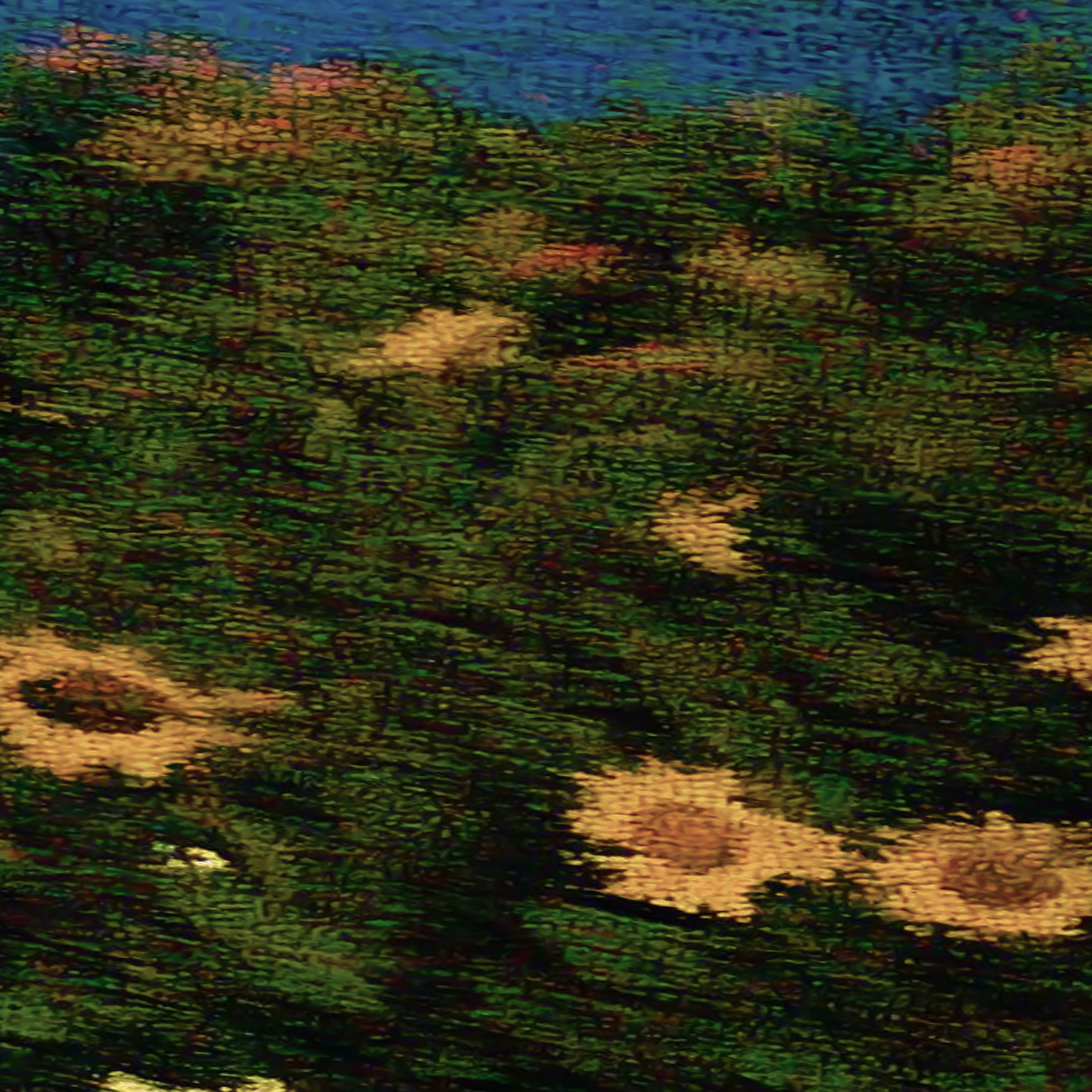 frequency inversion artwork