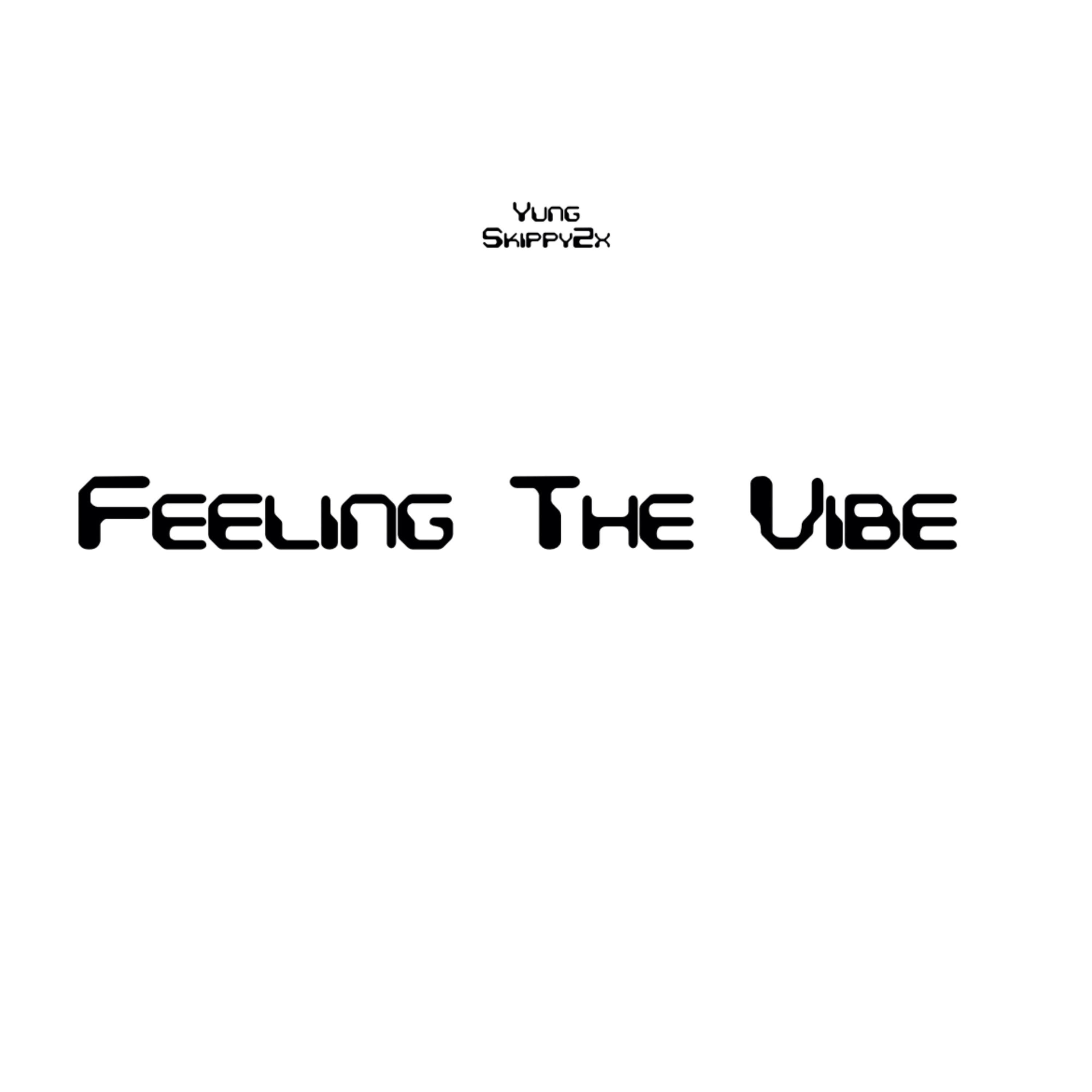 Feeling The Vibe artwork