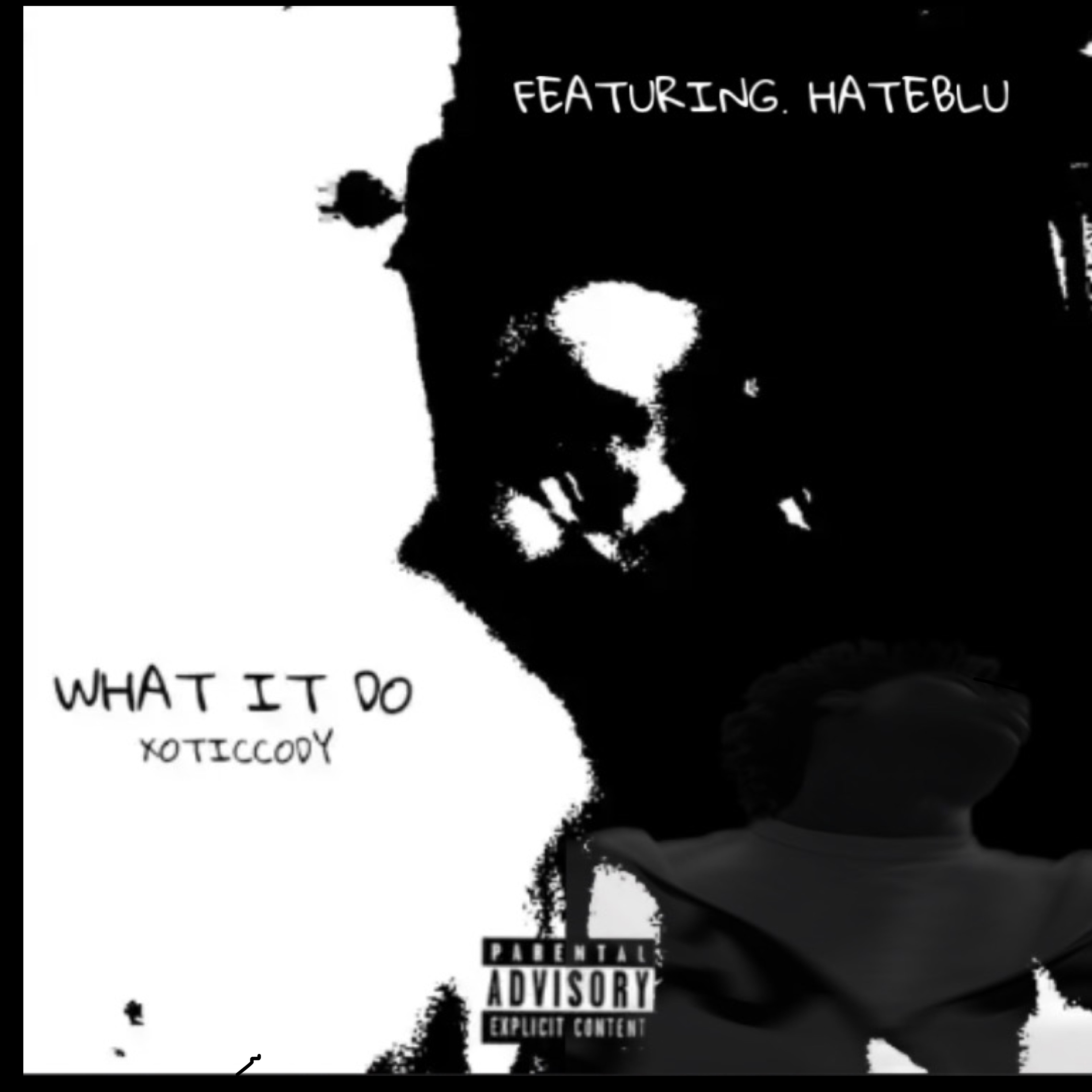 WHAT IT DO (REMIX) artwork