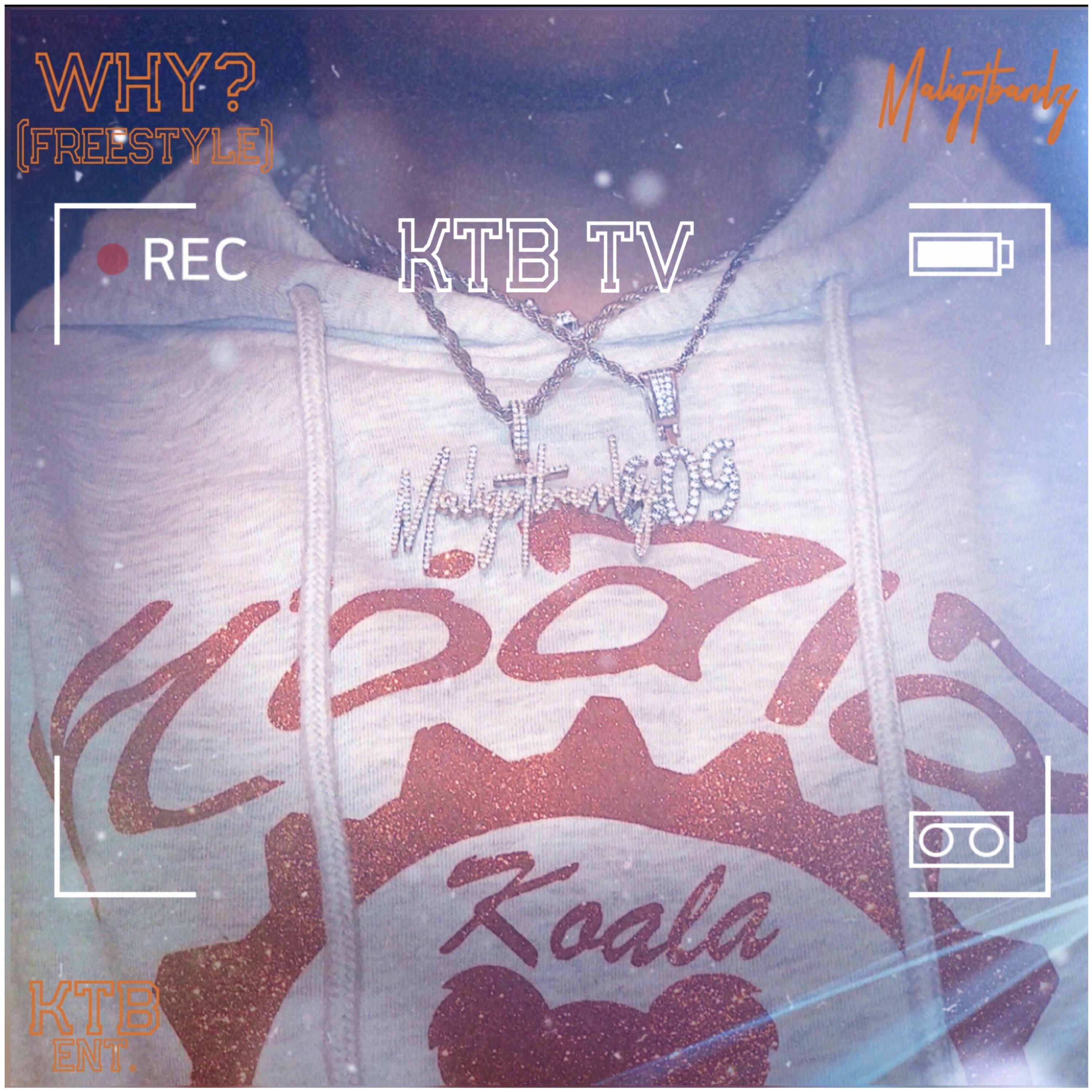 WHY? (Freestyle) artwork