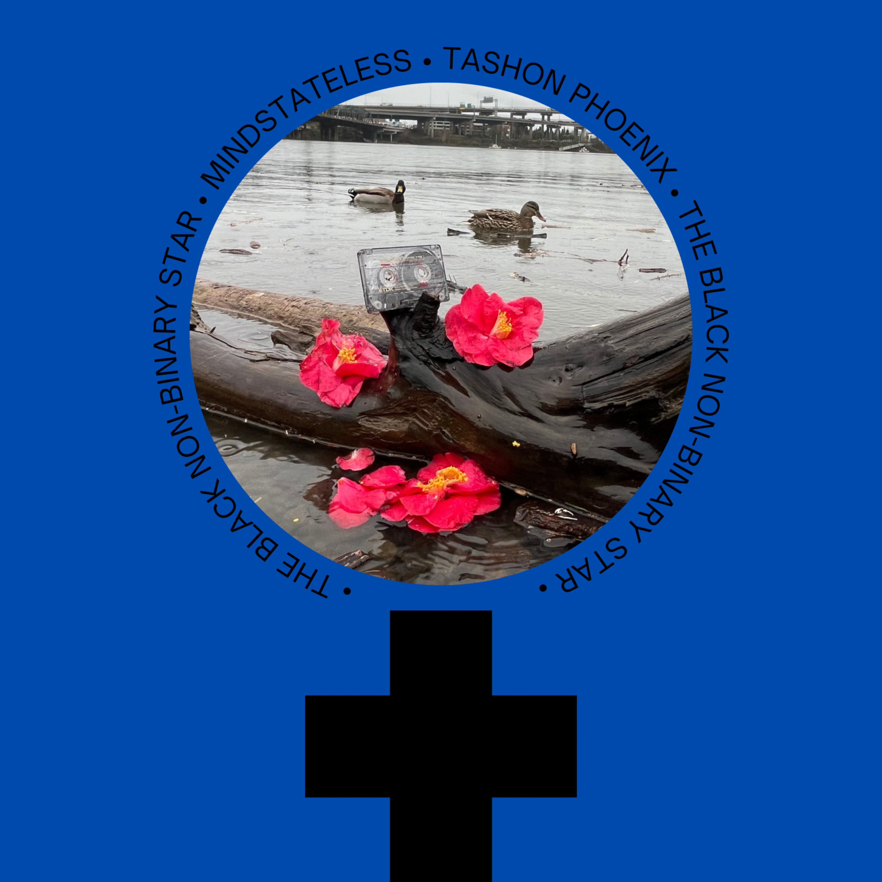 The Black Non-Binary Star artwork