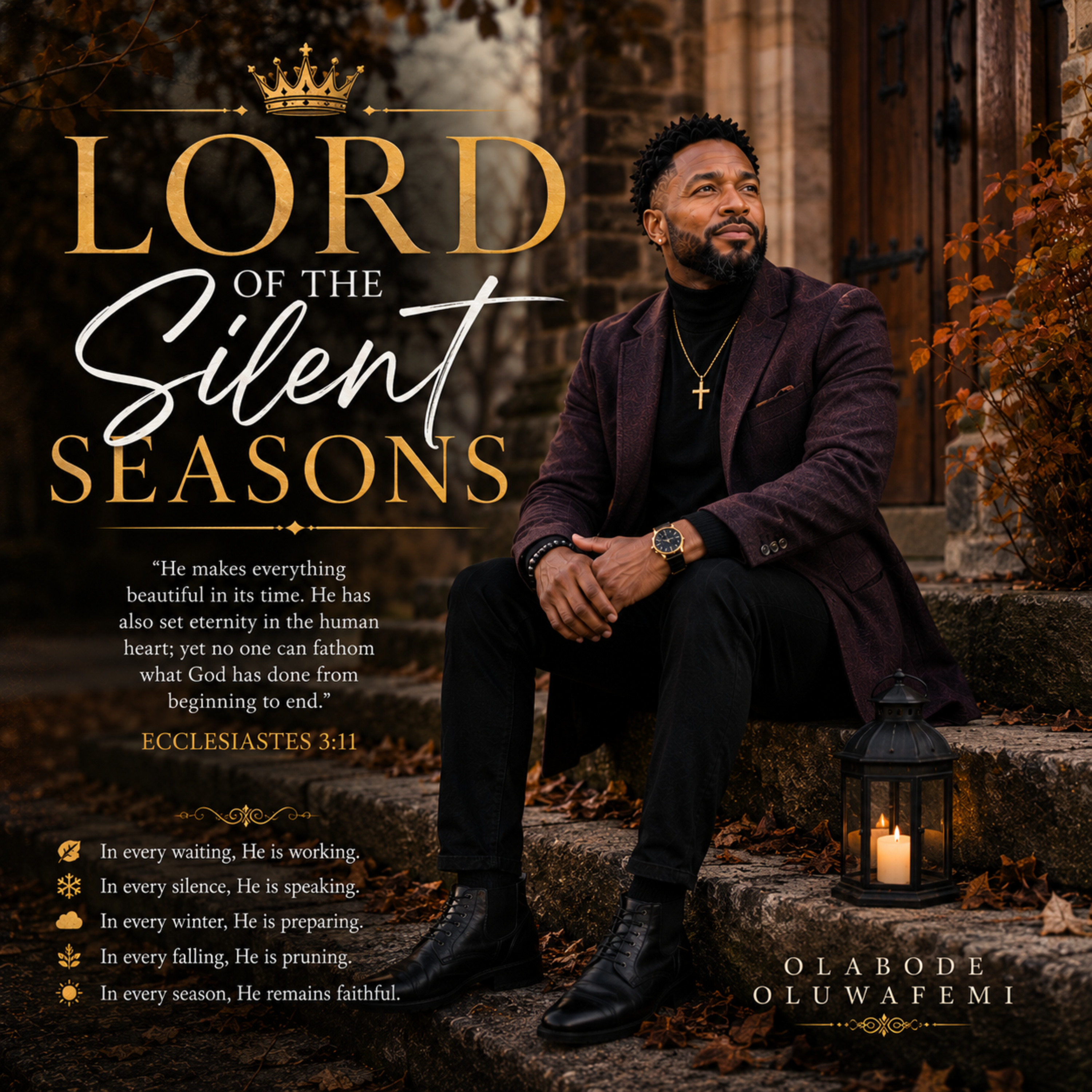 Lord of the Silent Seasons by olabode oluwafemi cover art