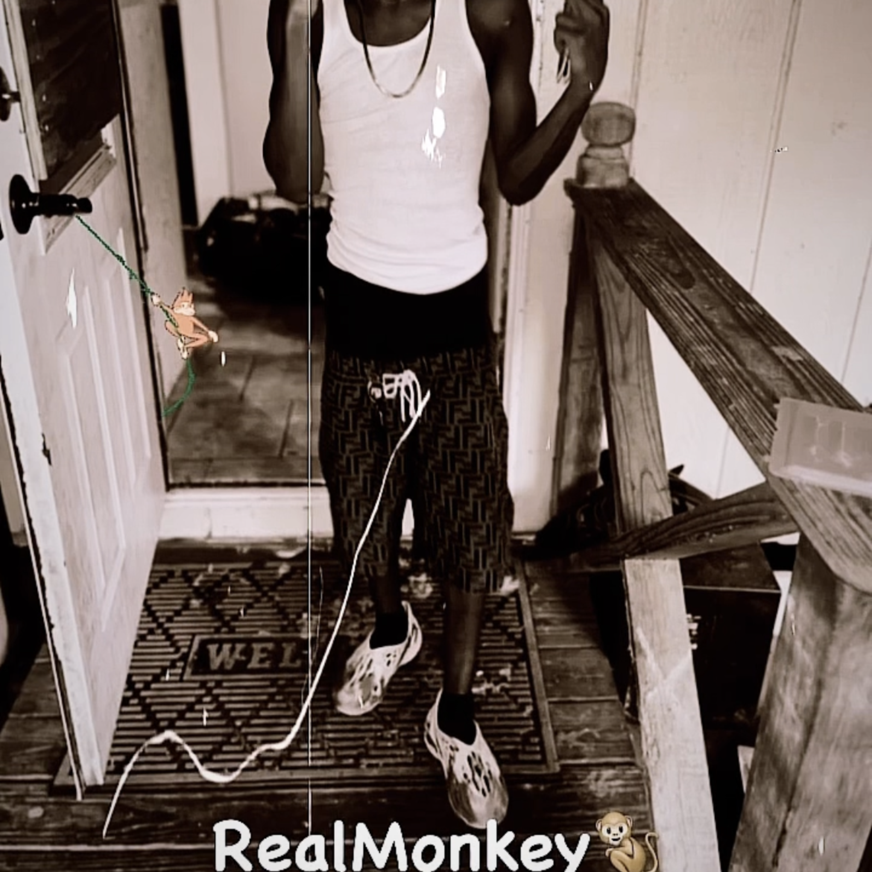 RealMonkey artwork