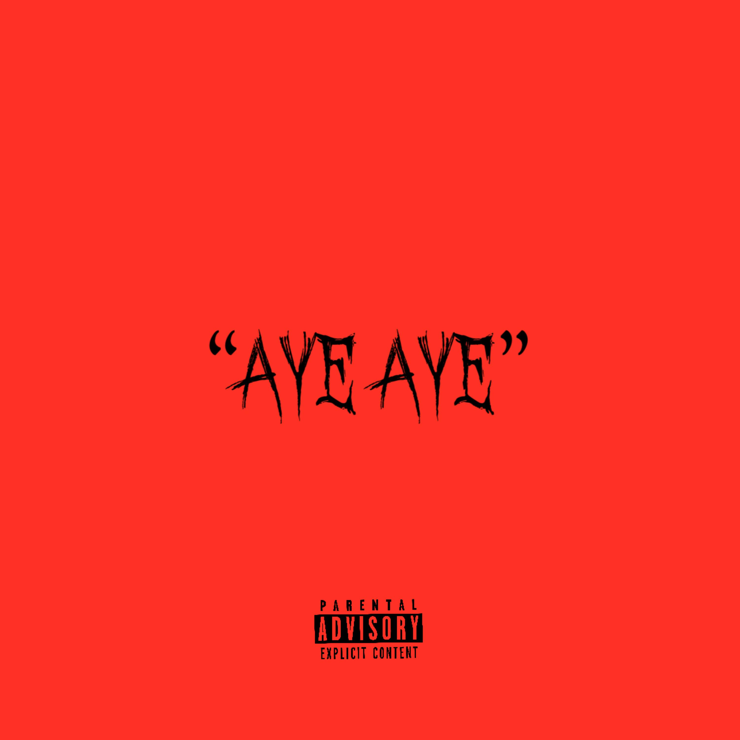 Aye Aye artwork