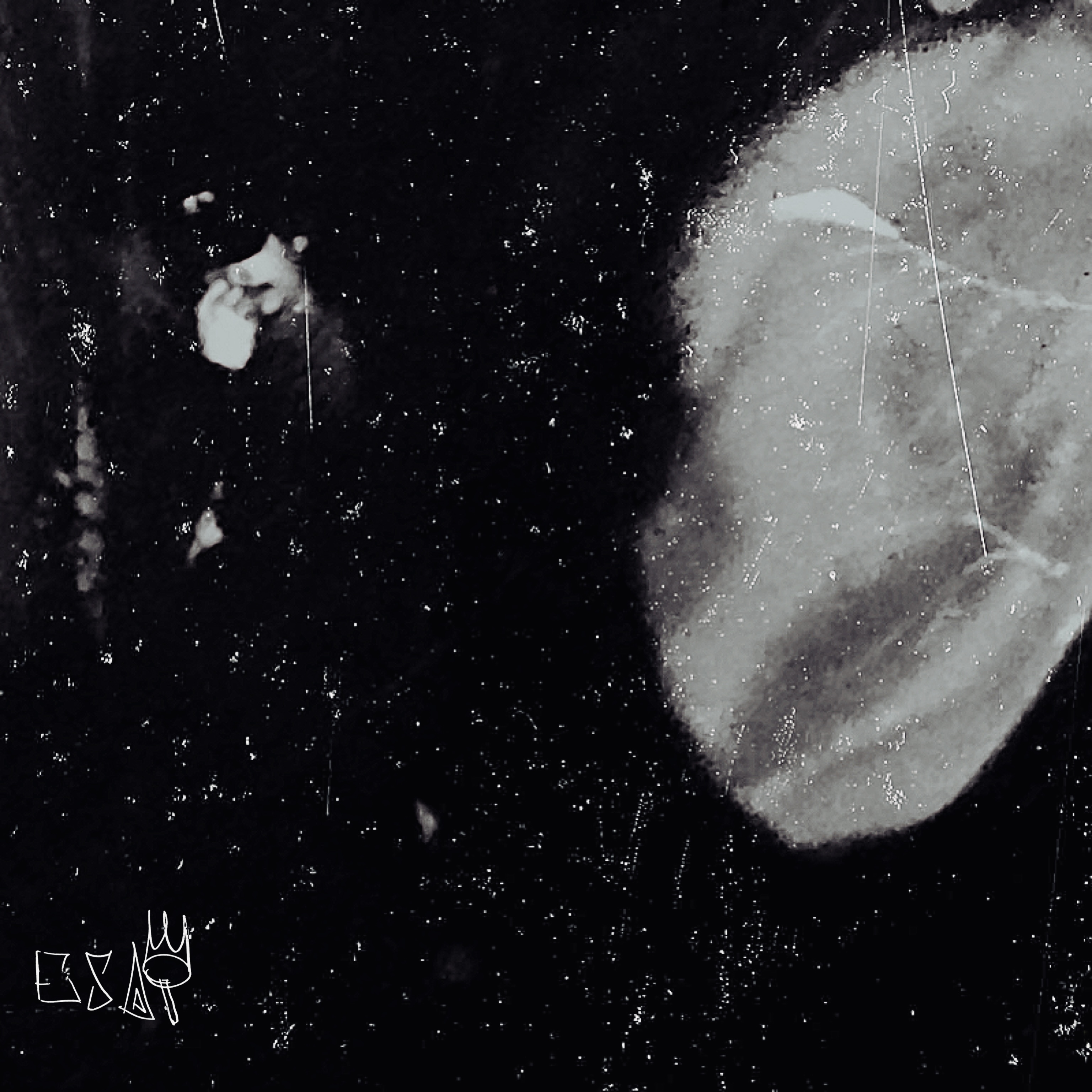 DISORIENTED artwork