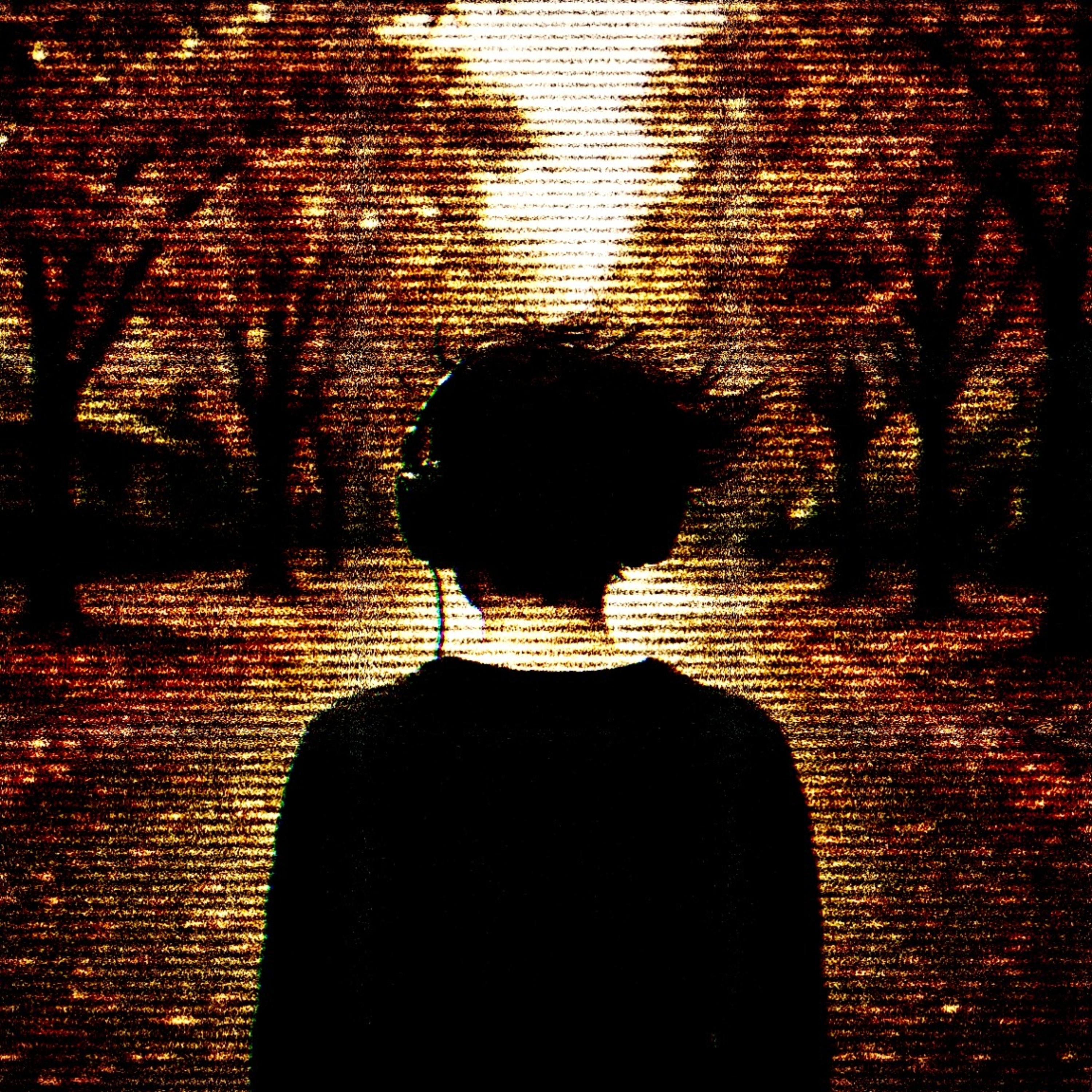 never here by rhys lutz cover art