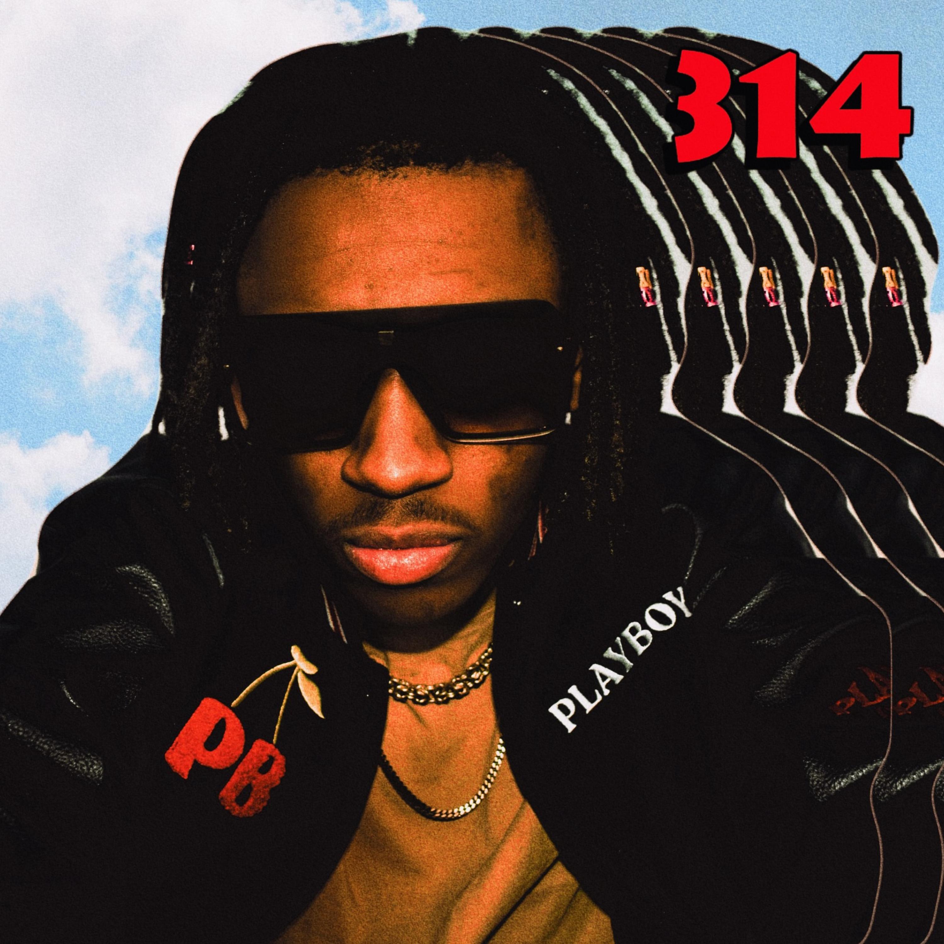 314 artwork
