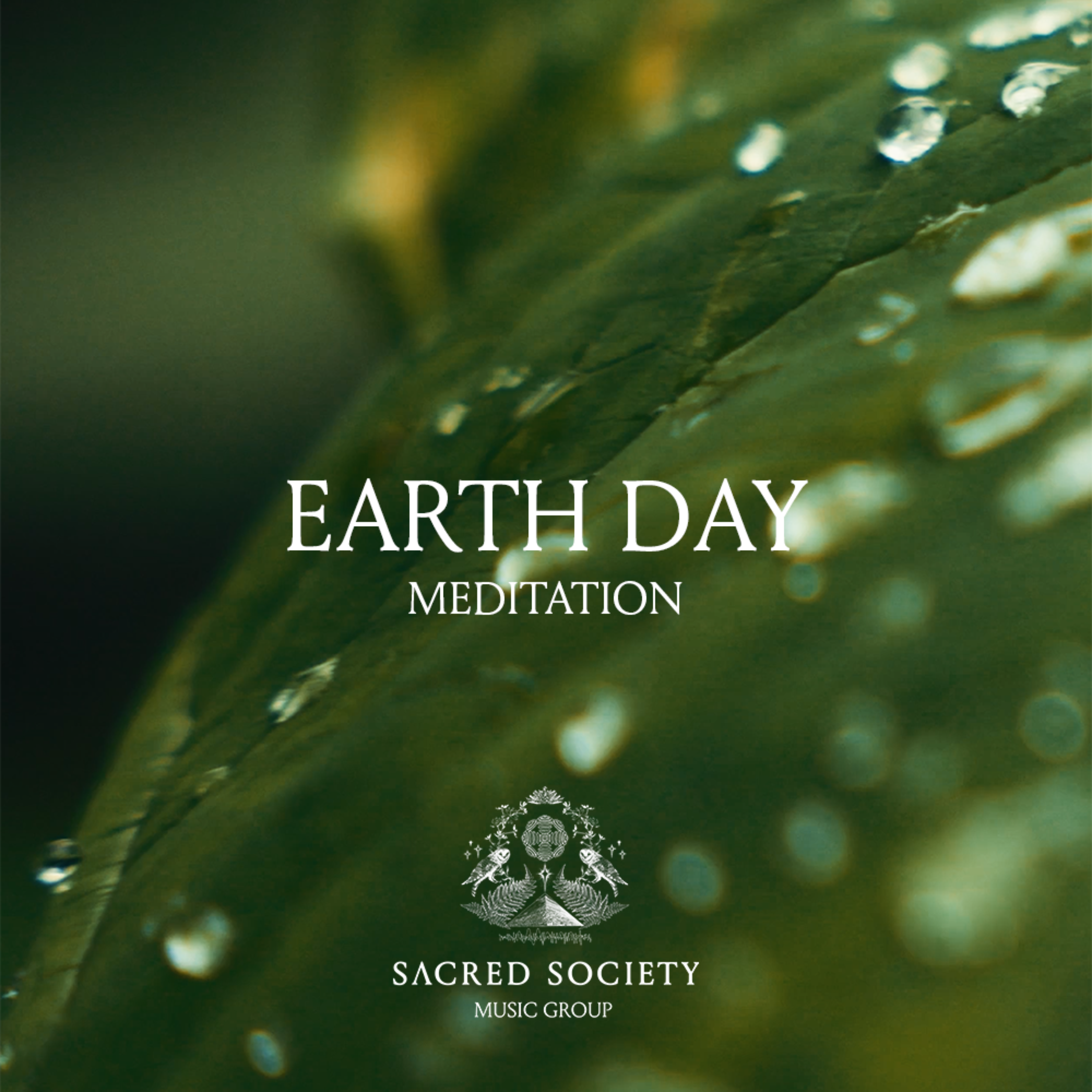 Earth Day Meditation artwork