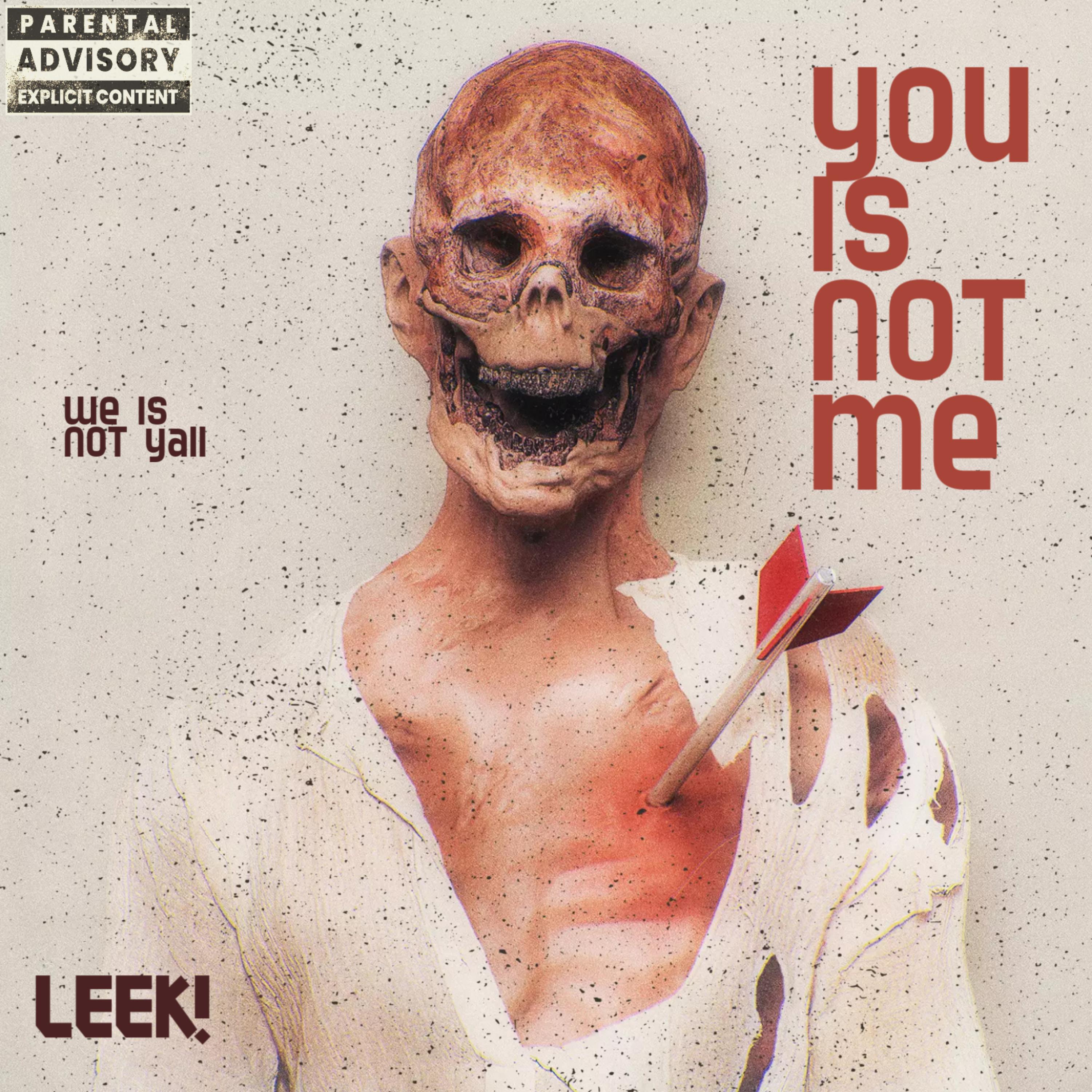 you is NOT me artwork