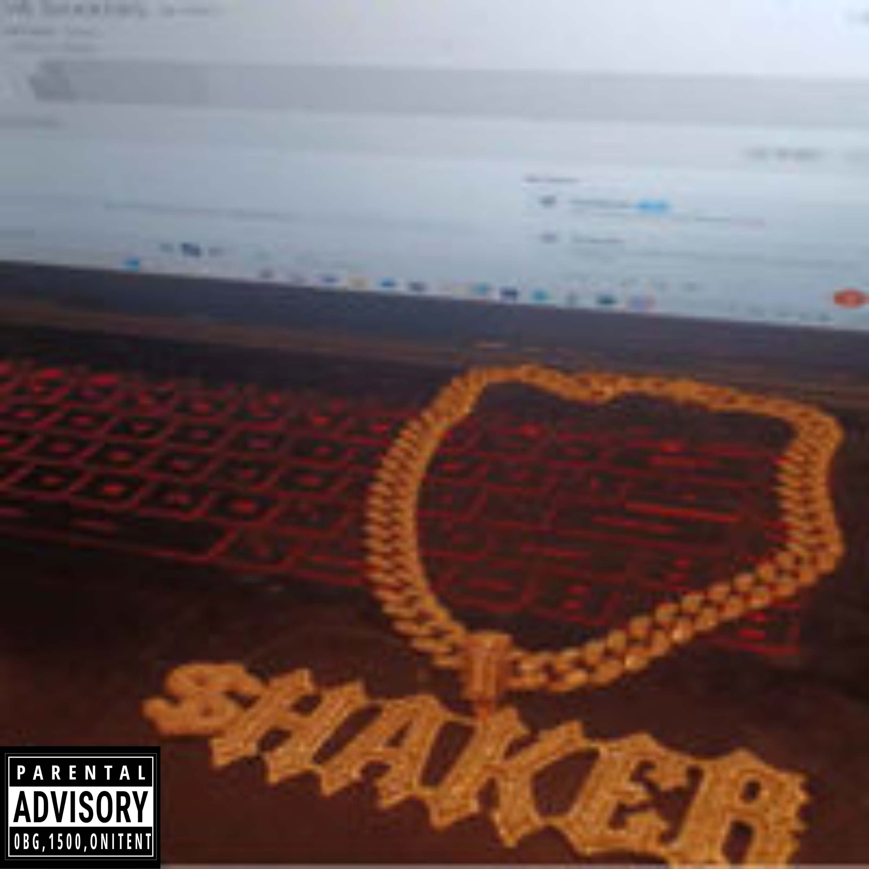 THE $HAK3RS artwork