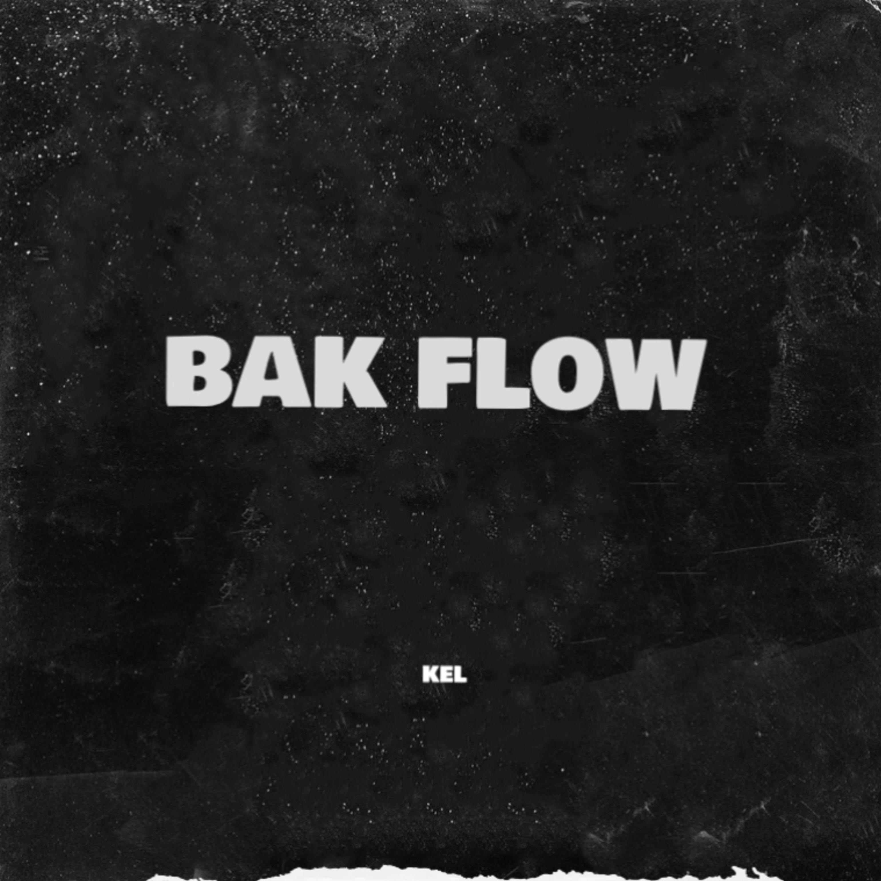 BAK FLOW artwork
