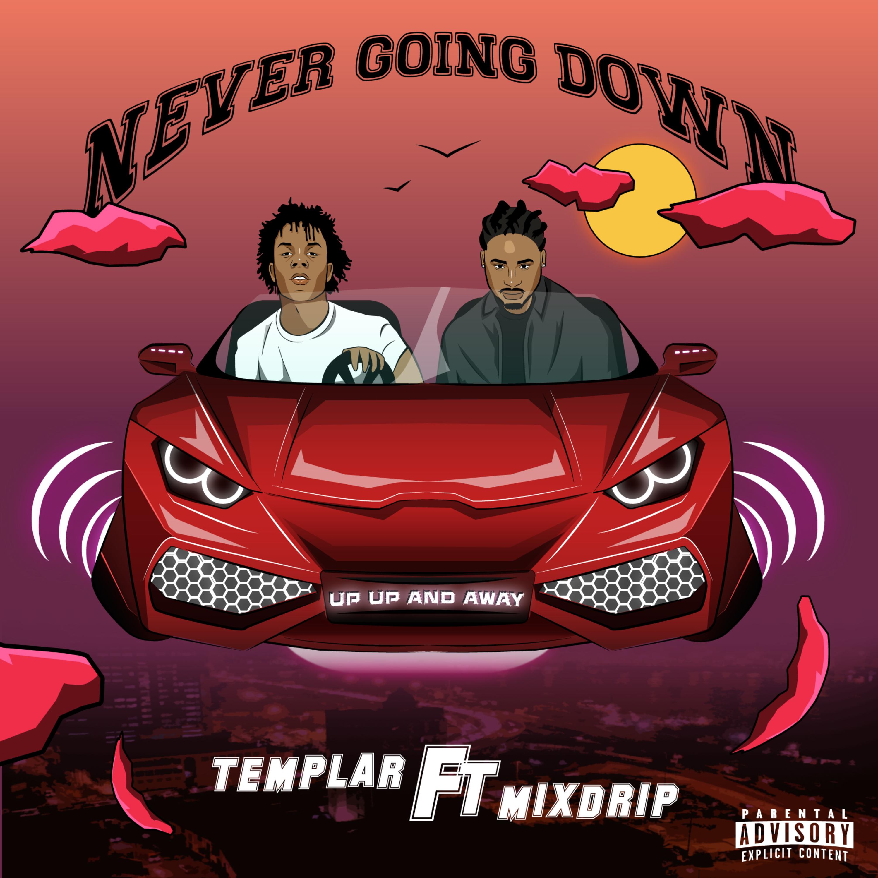 Never Going Down artwork