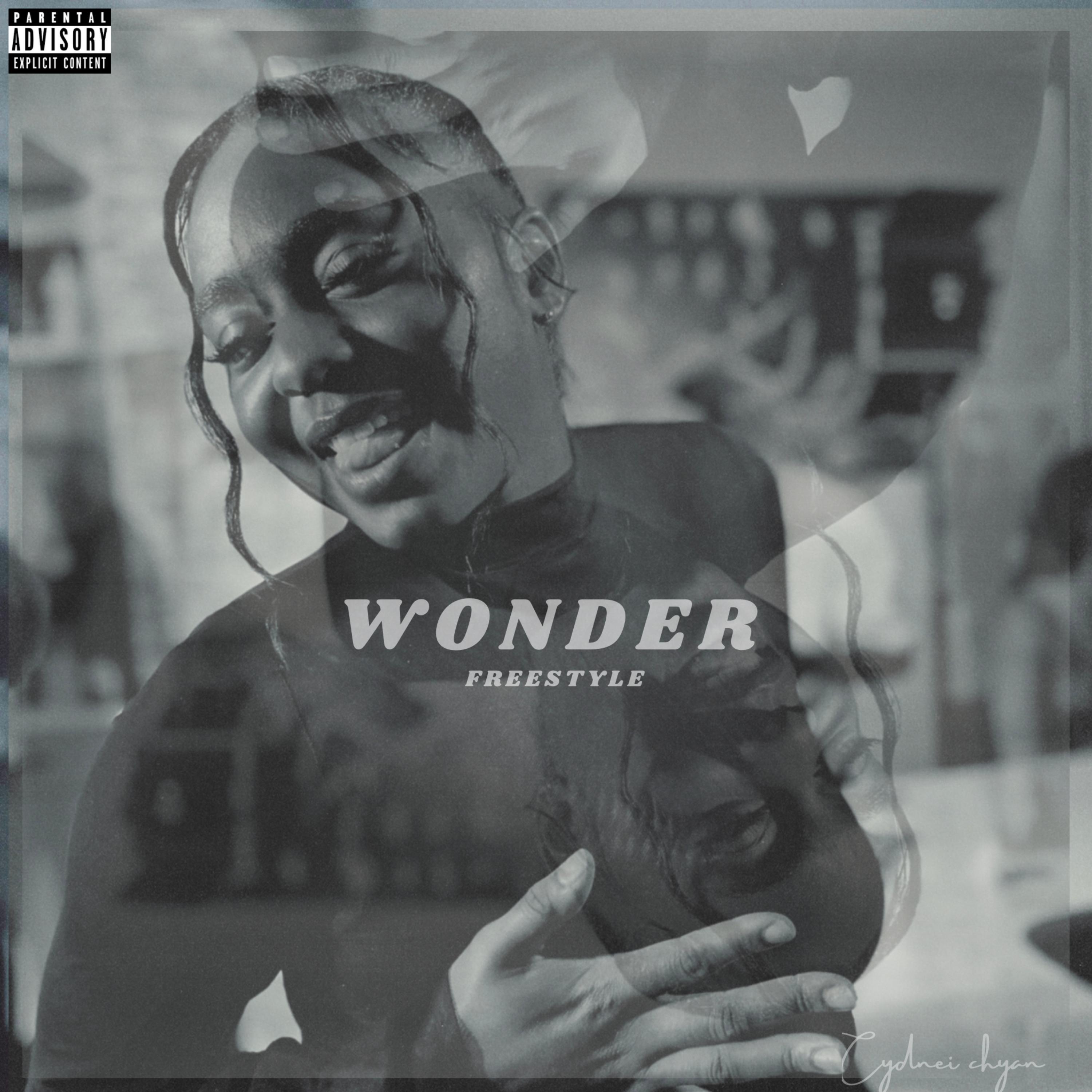 Wonder Freestyle artwork