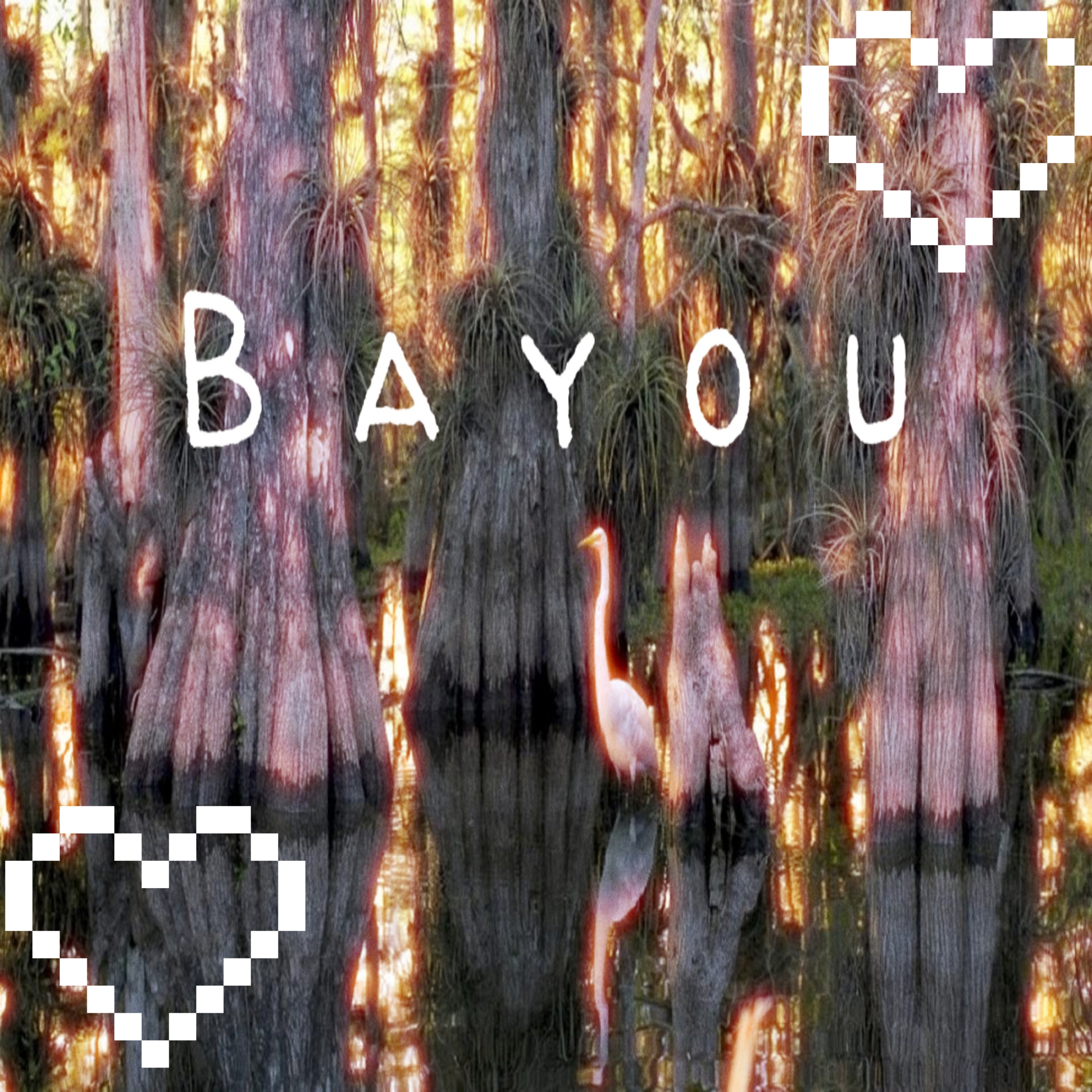 Bayou artwork