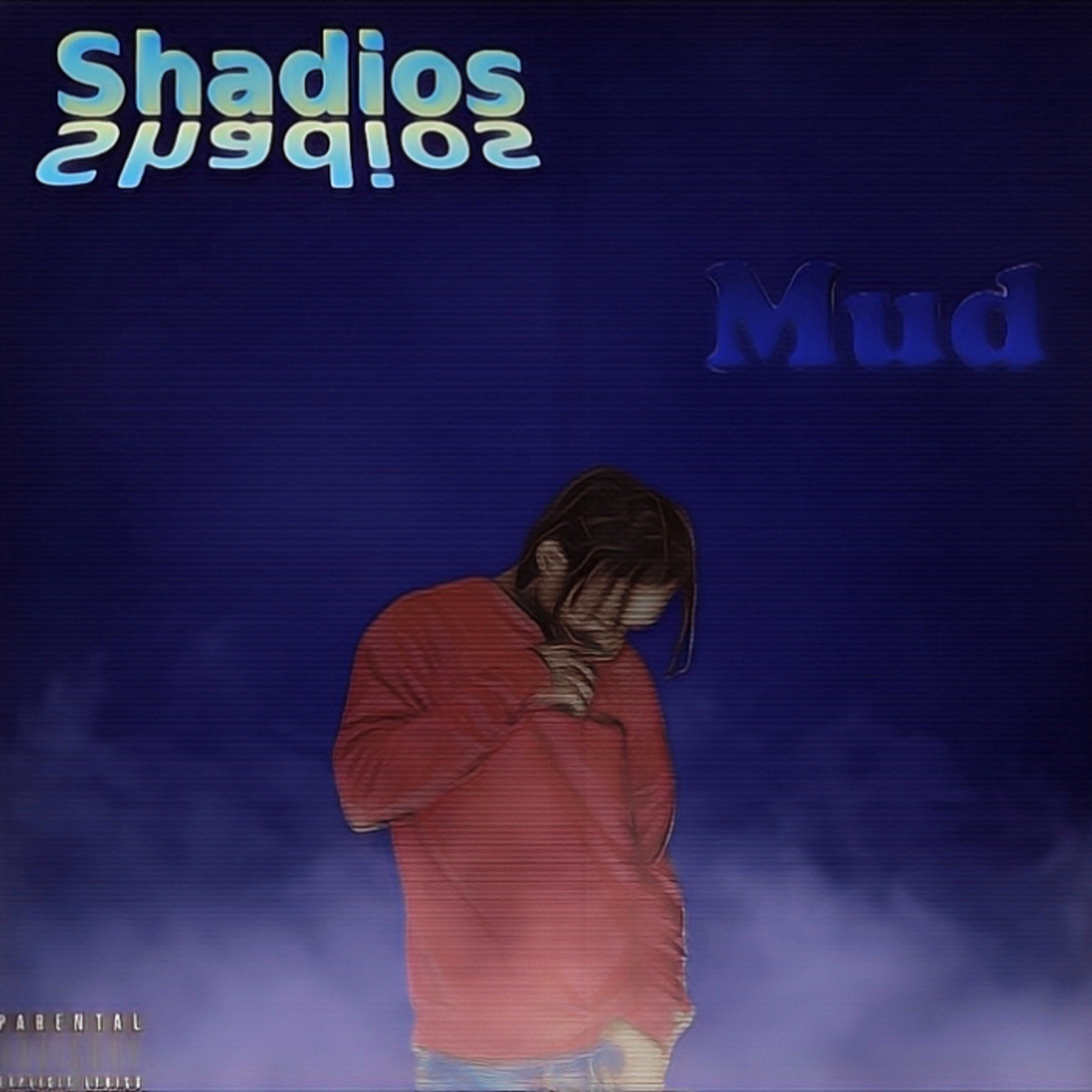 Mud artwork