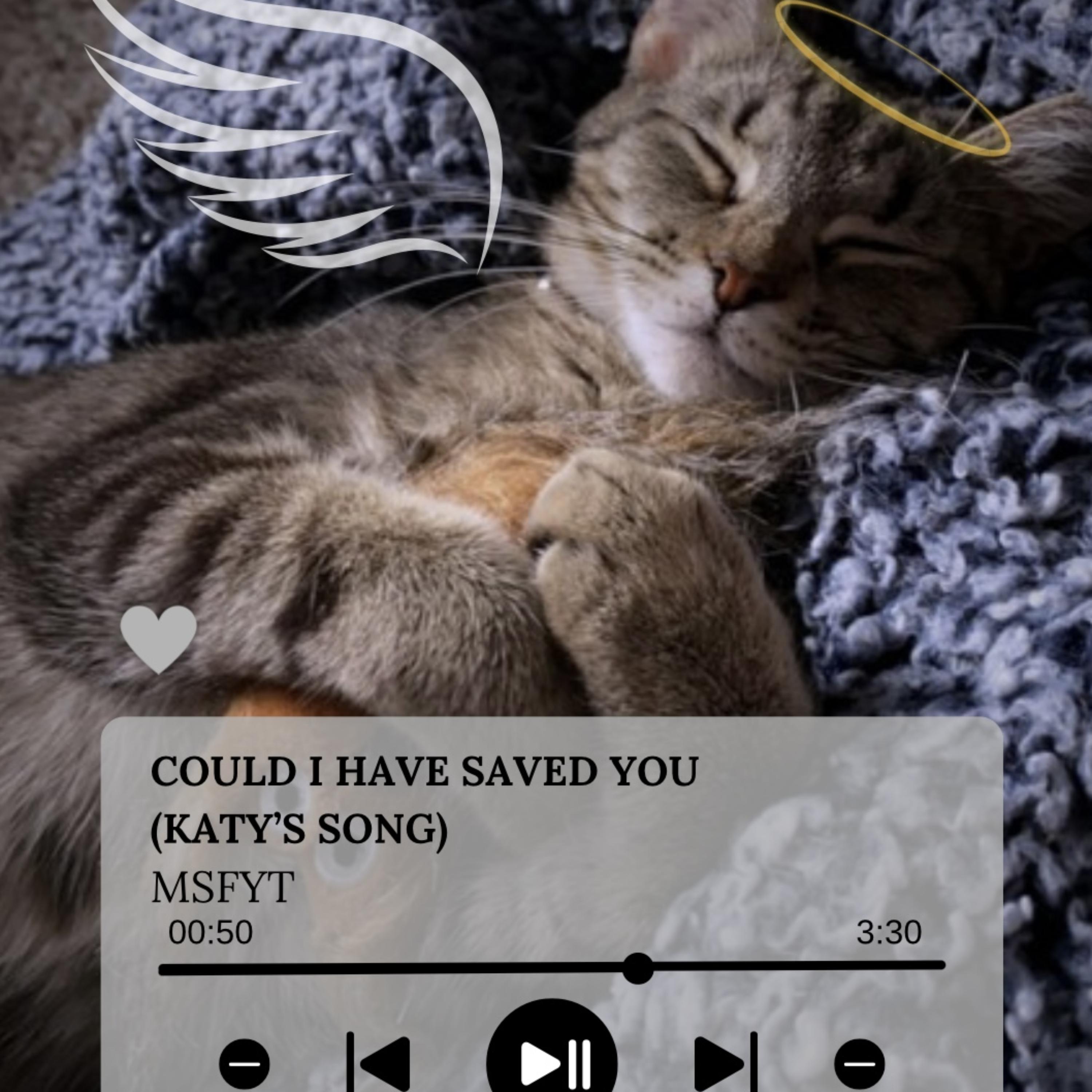 Could I Have Saved You? (Katy’s Song) by MSFYT cover art
