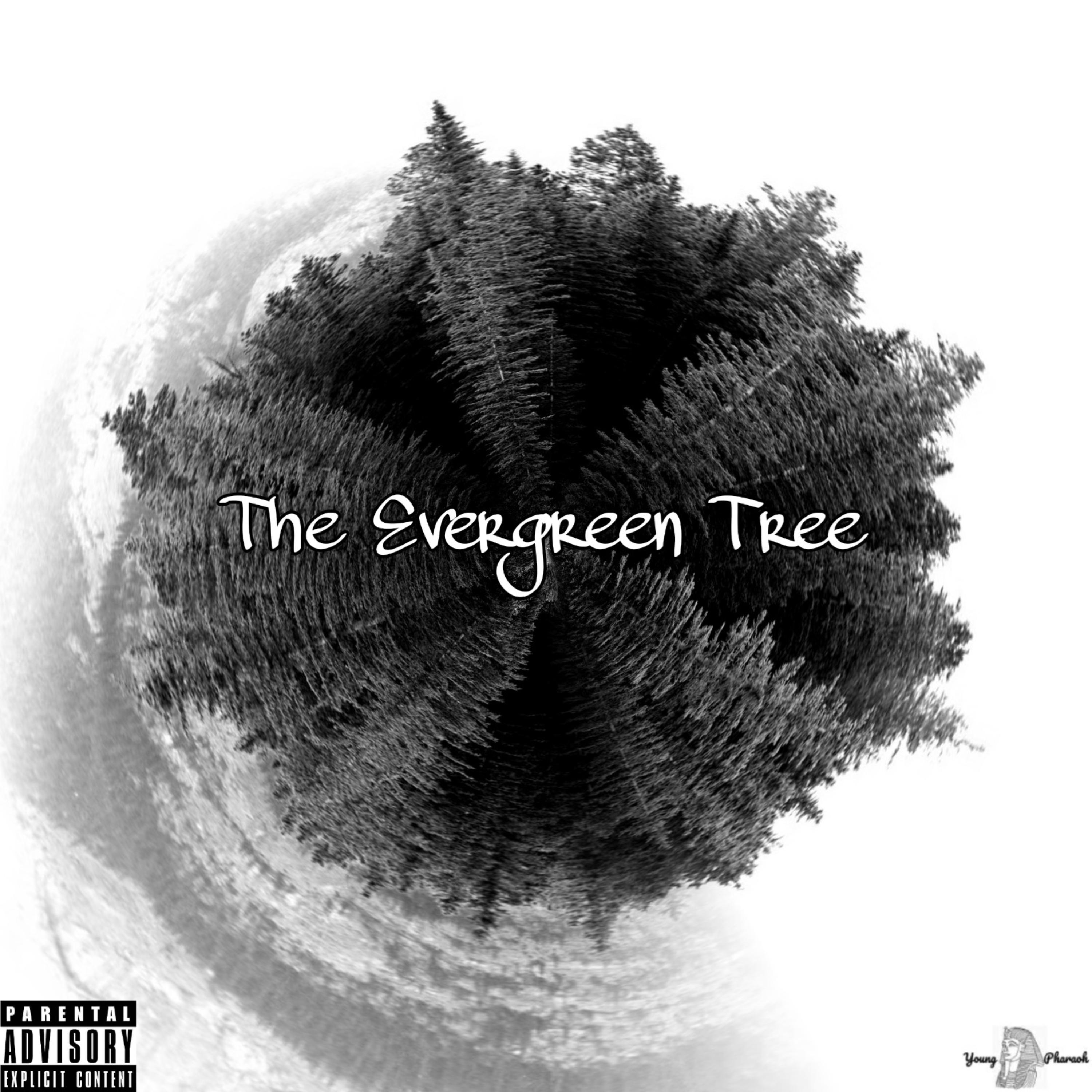 The Evergreen Tree artwork