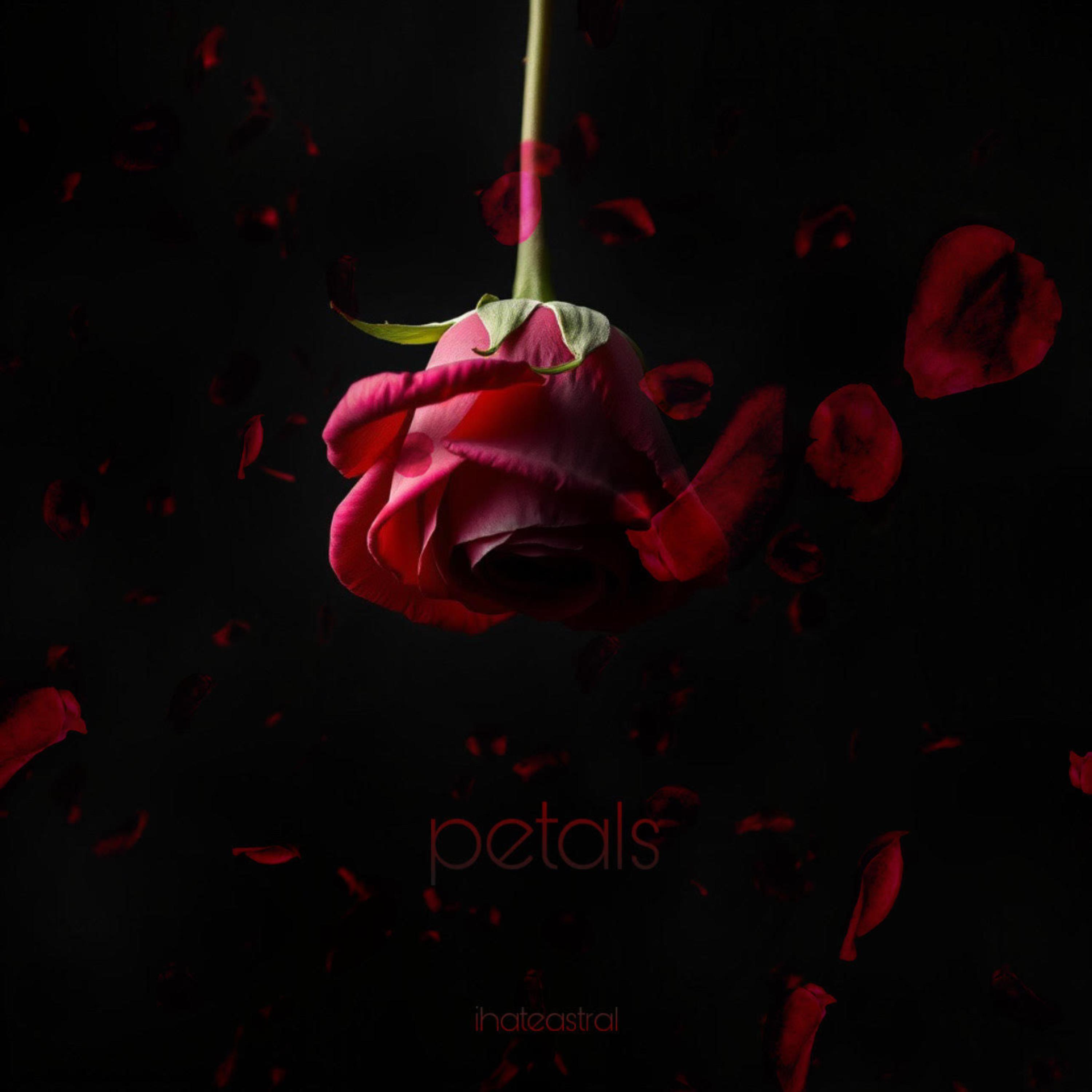 petals artwork