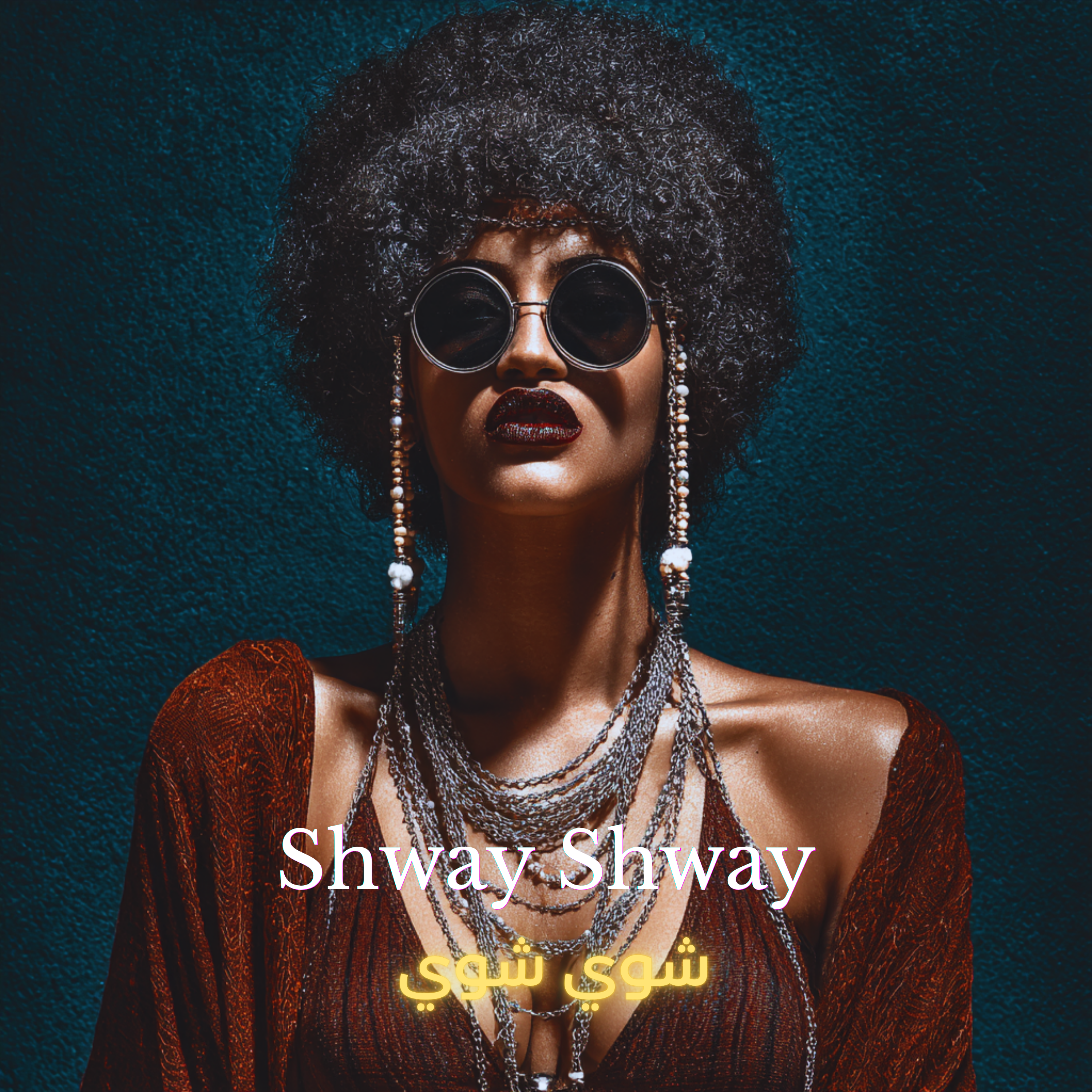 shway shway by Zamir cover art