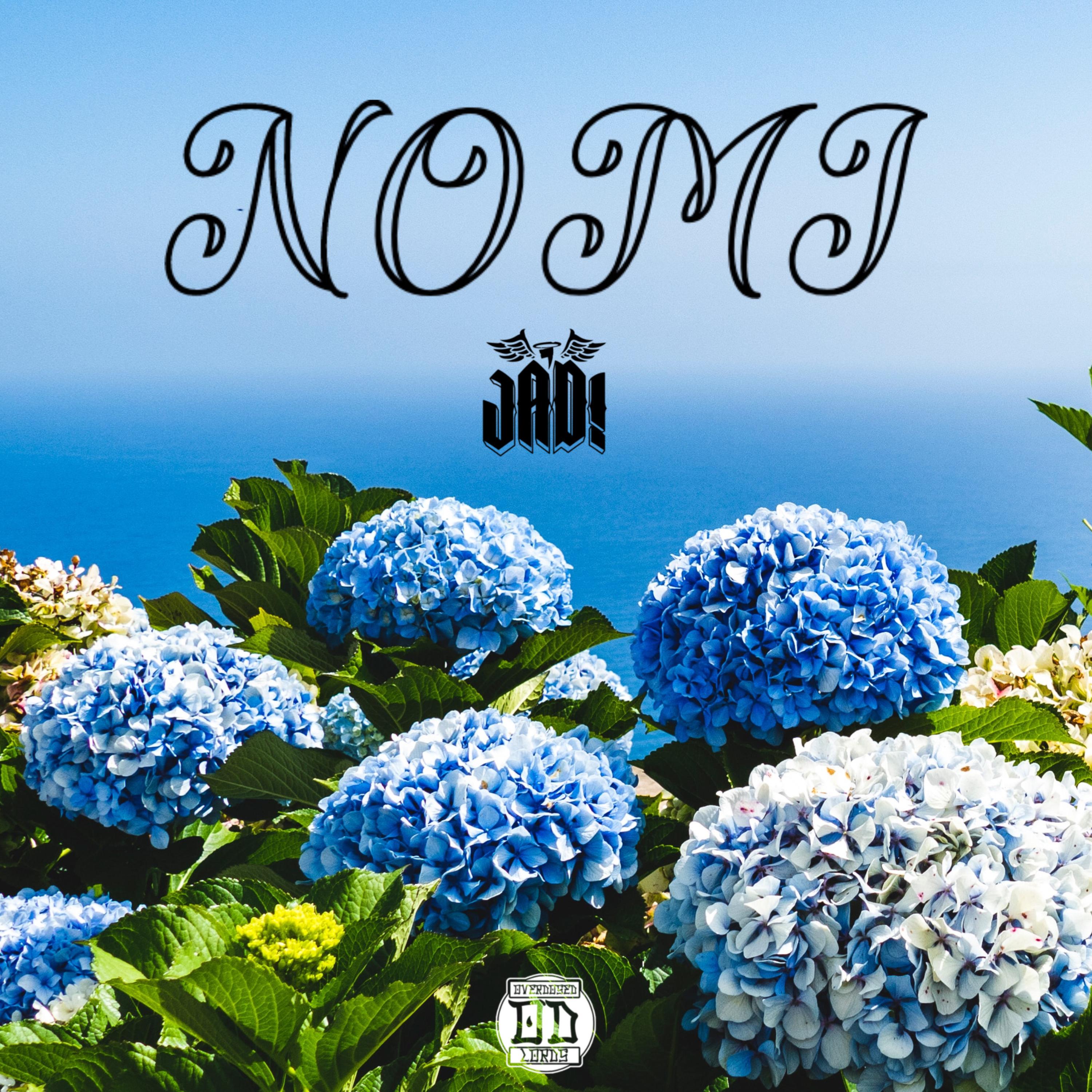 NOMI artwork