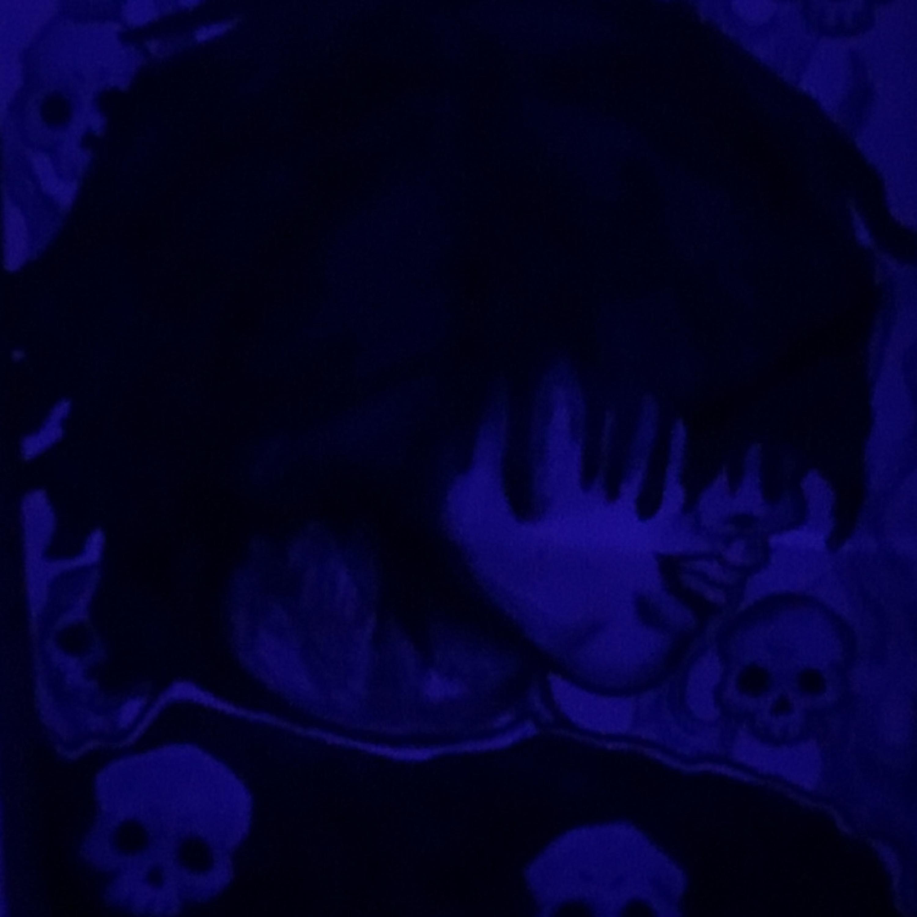 Skeletons In My Closet artwork