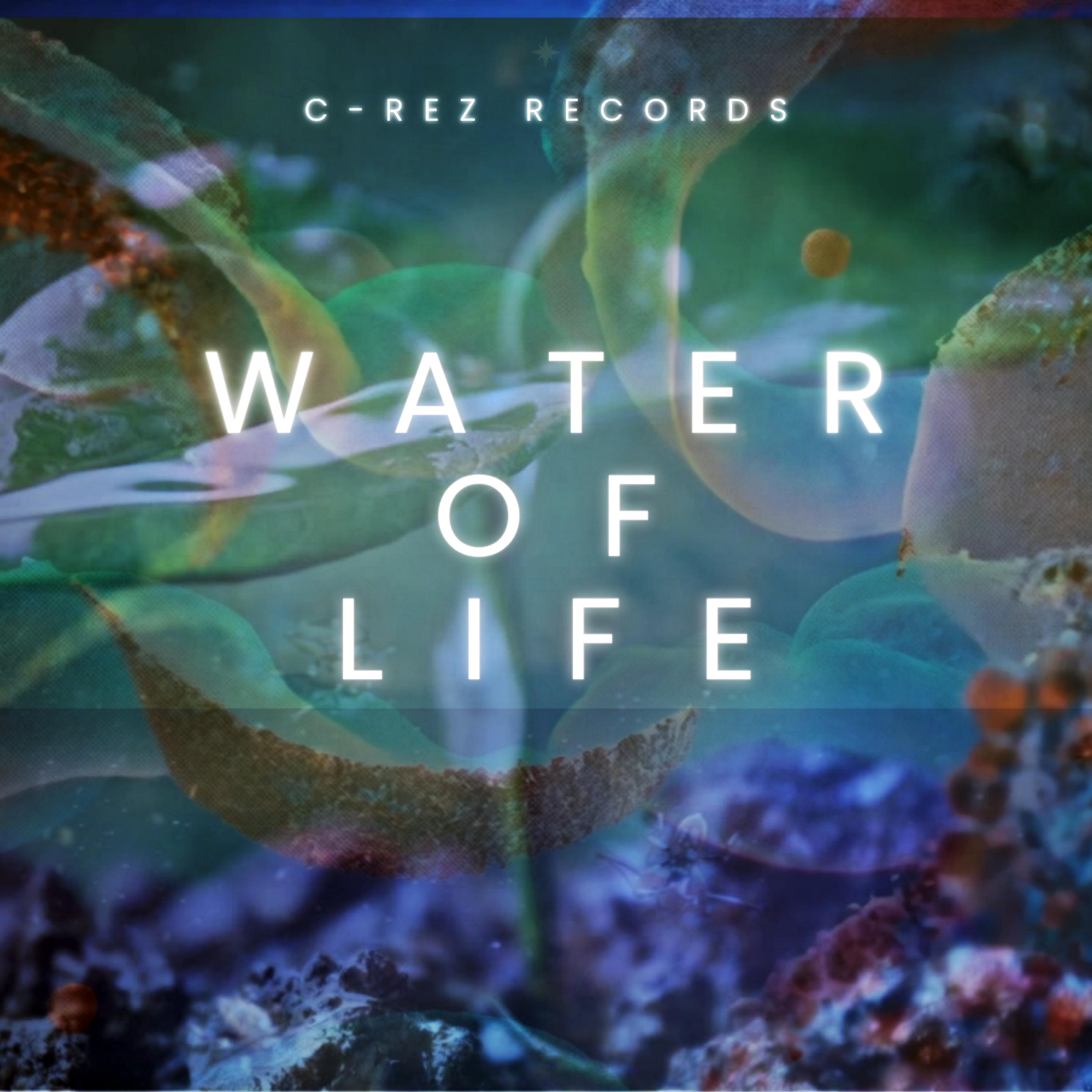 Water of Life artwork