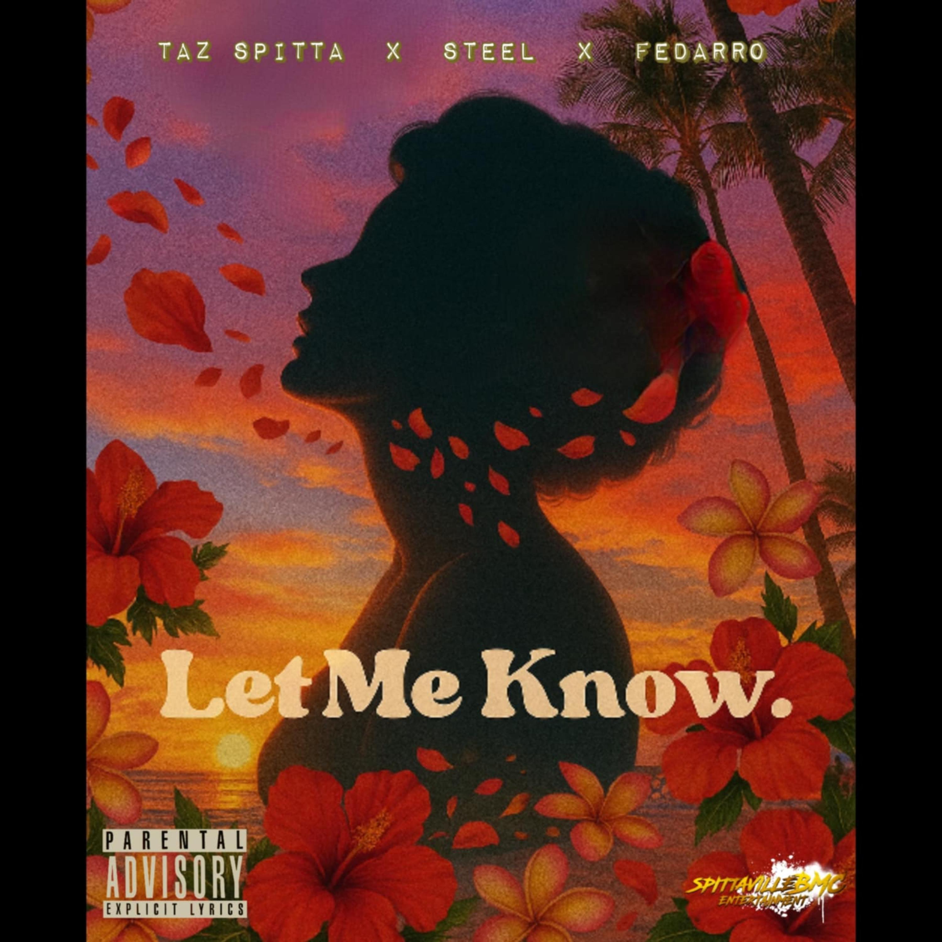 Let me know by Tazspitta cover art