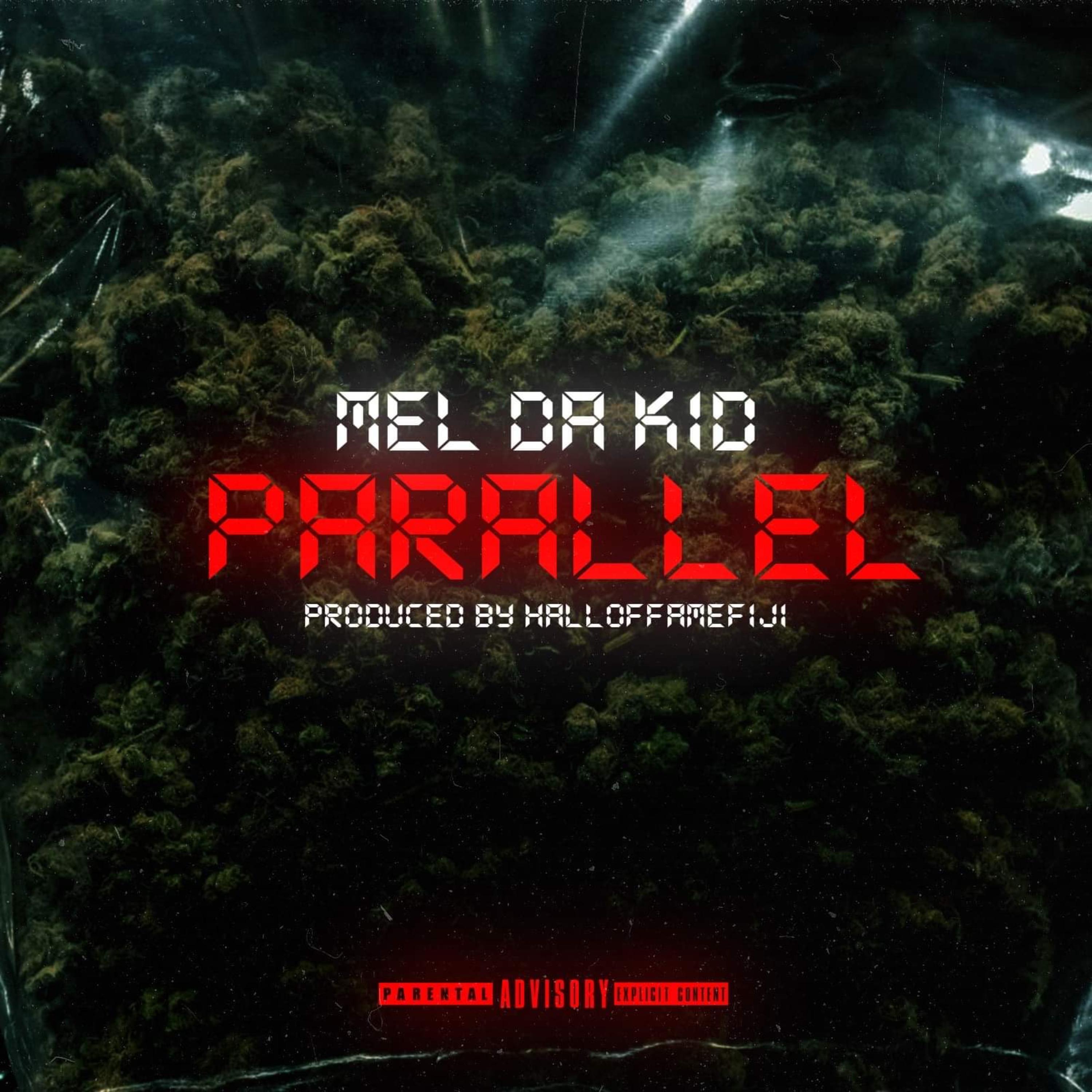 Parallel artwork